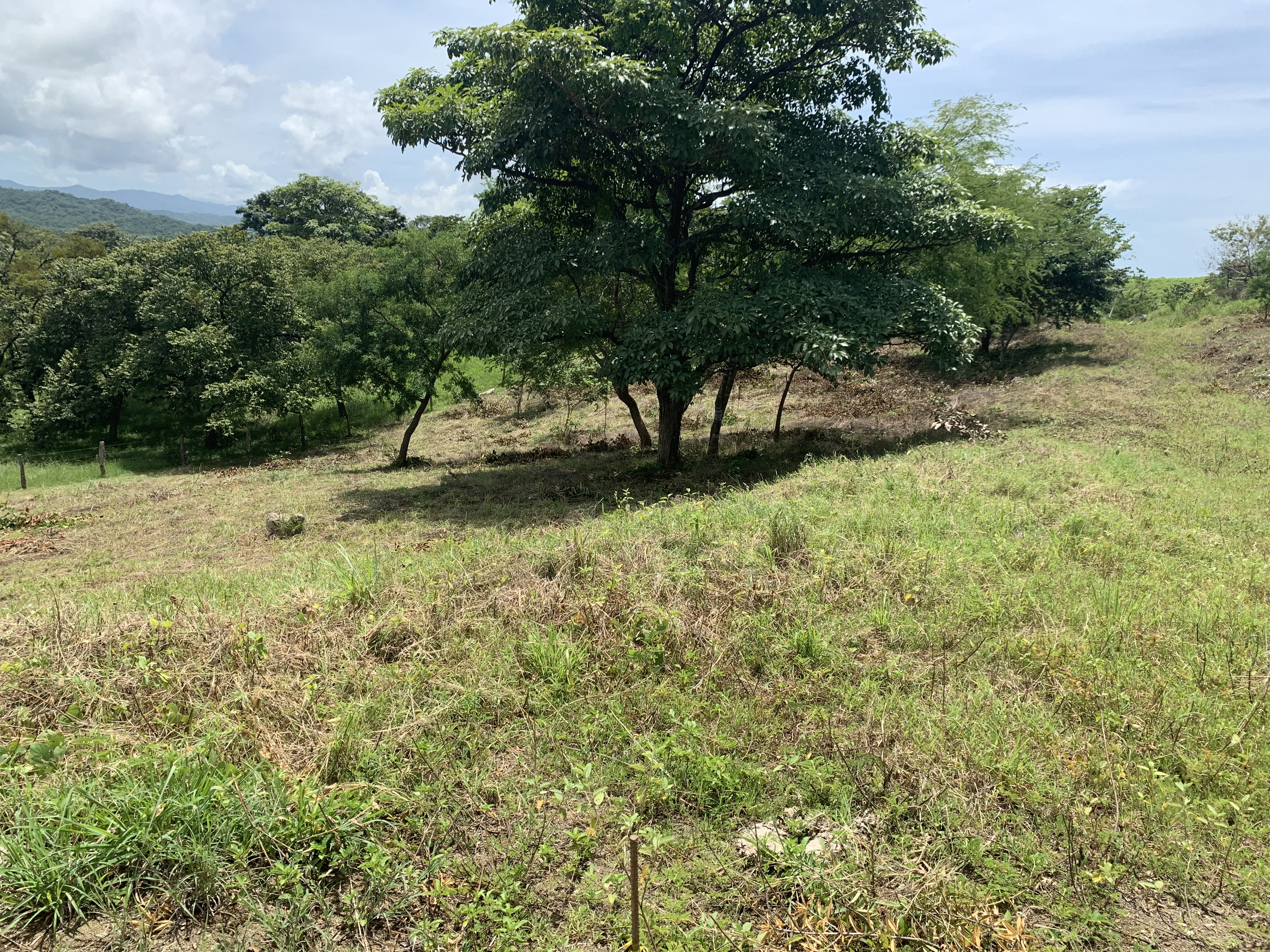0 bed Land For Sale in Junquillal, Guanacaste - thumb 27
