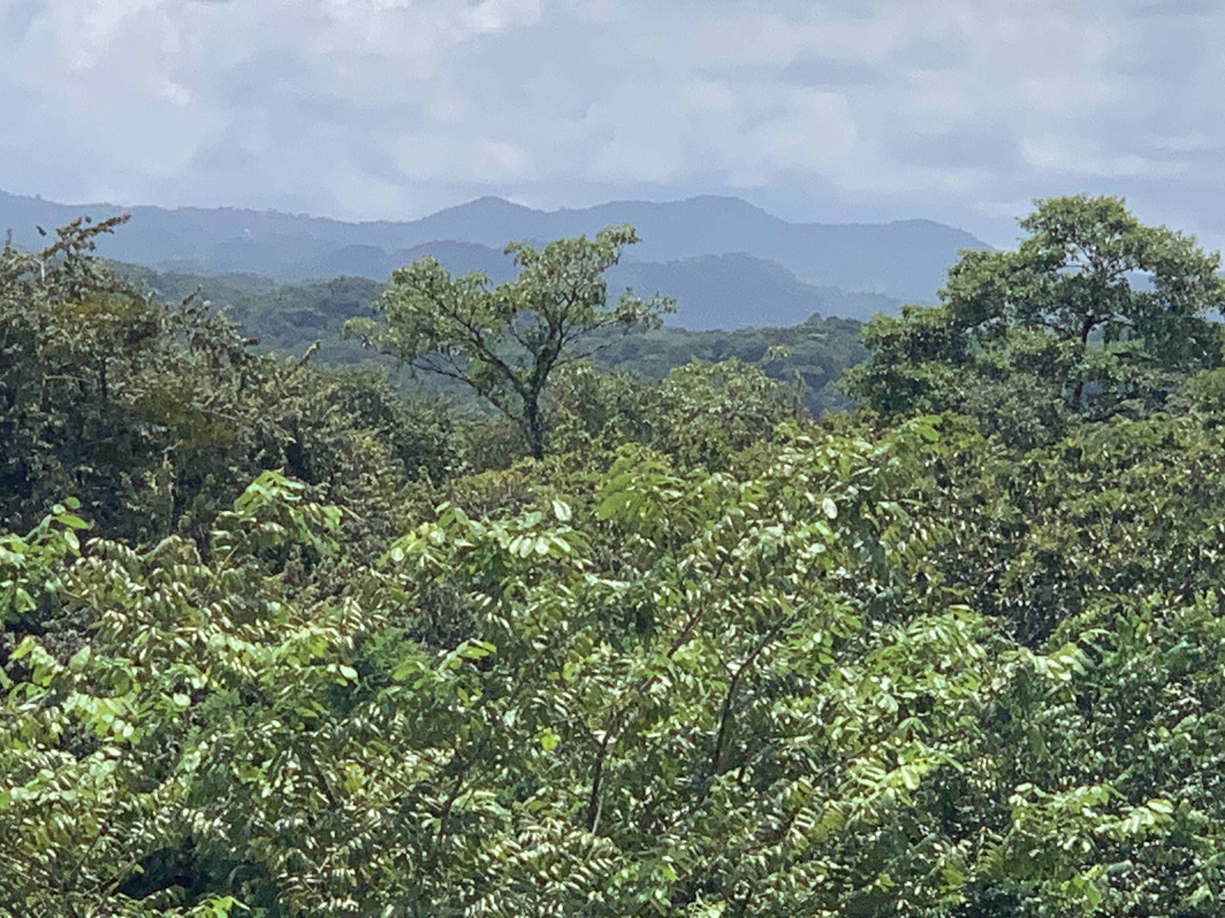 0 bed Land For Sale in Junquillal, Guanacaste - thumb 12