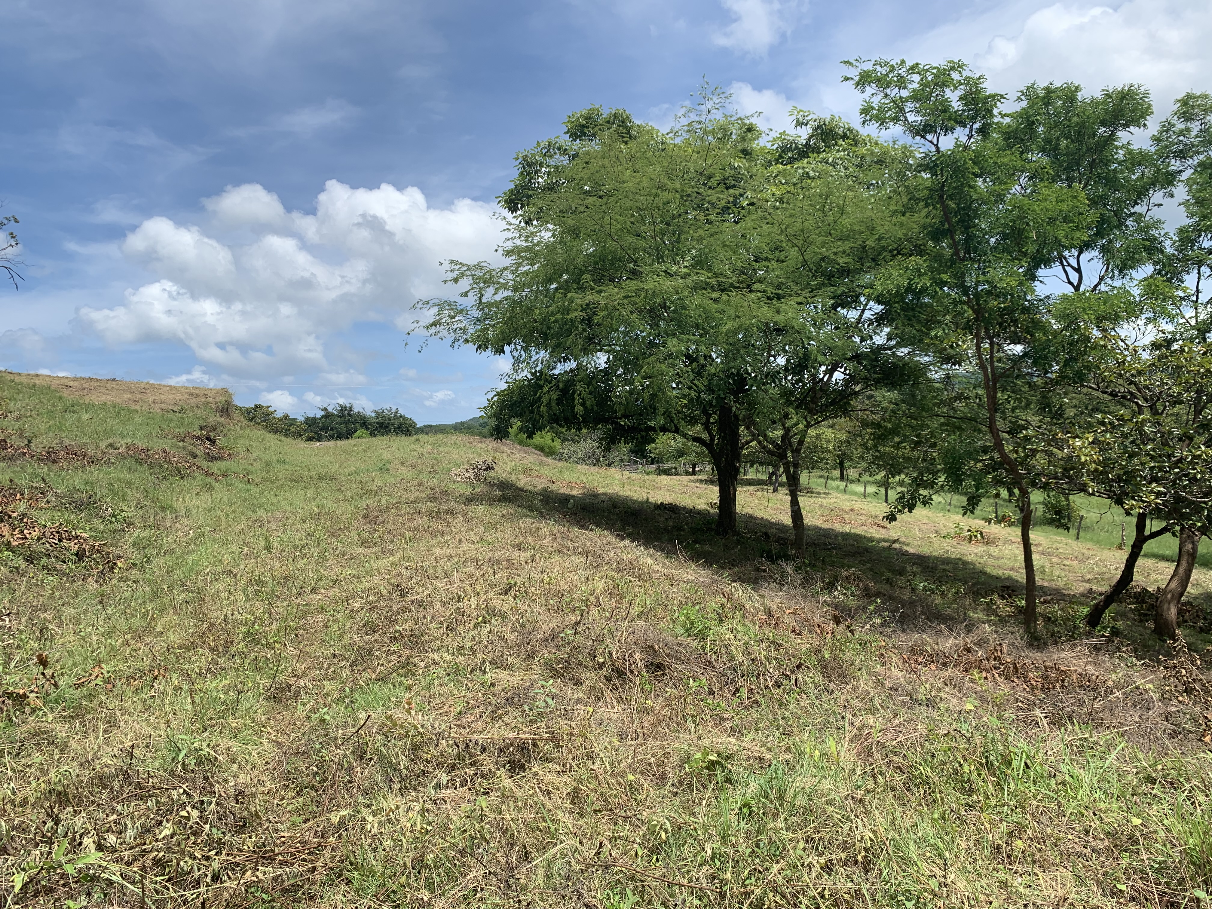 0 bed Land For Sale in Junquillal, Guanacaste - thumb 19