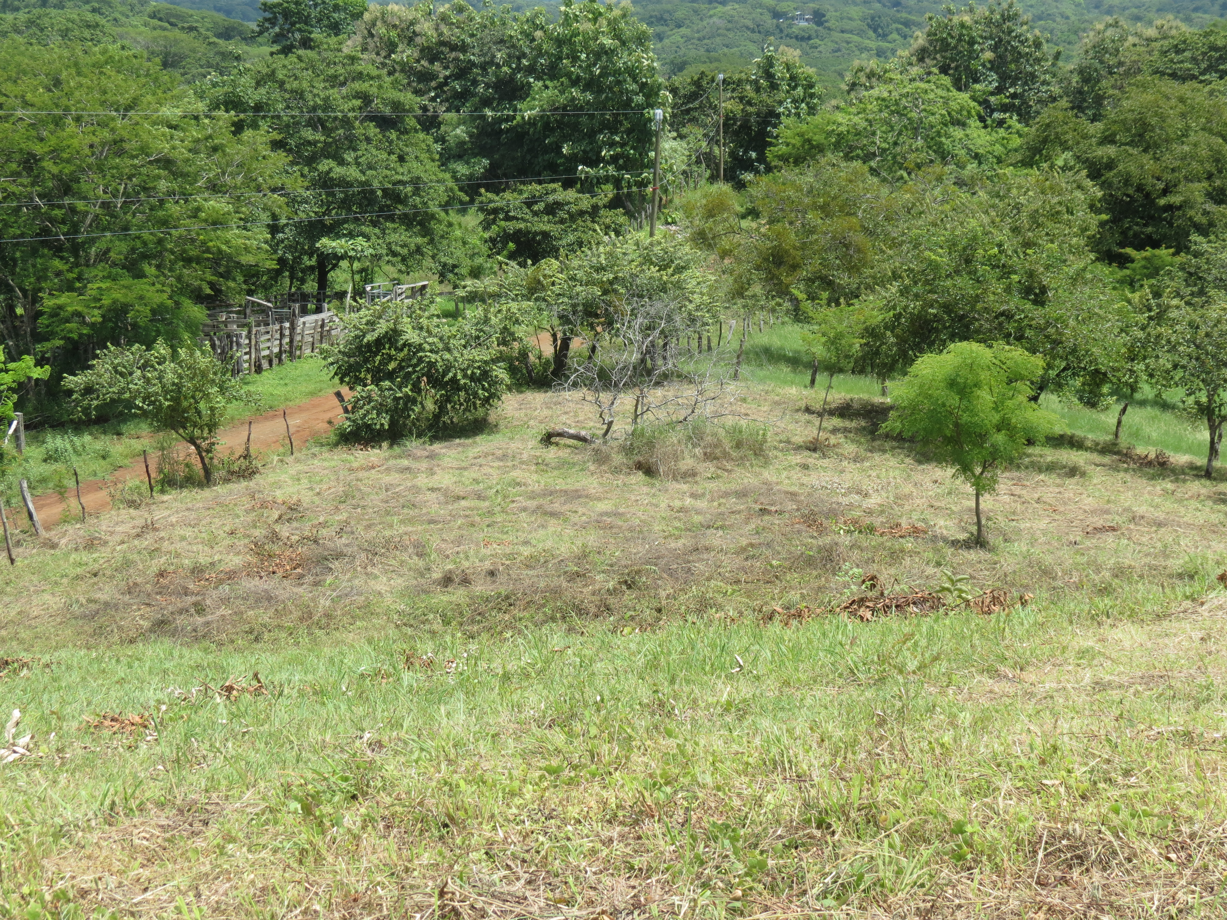 0 bed Land For Sale in Junquillal, Guanacaste - thumb 5