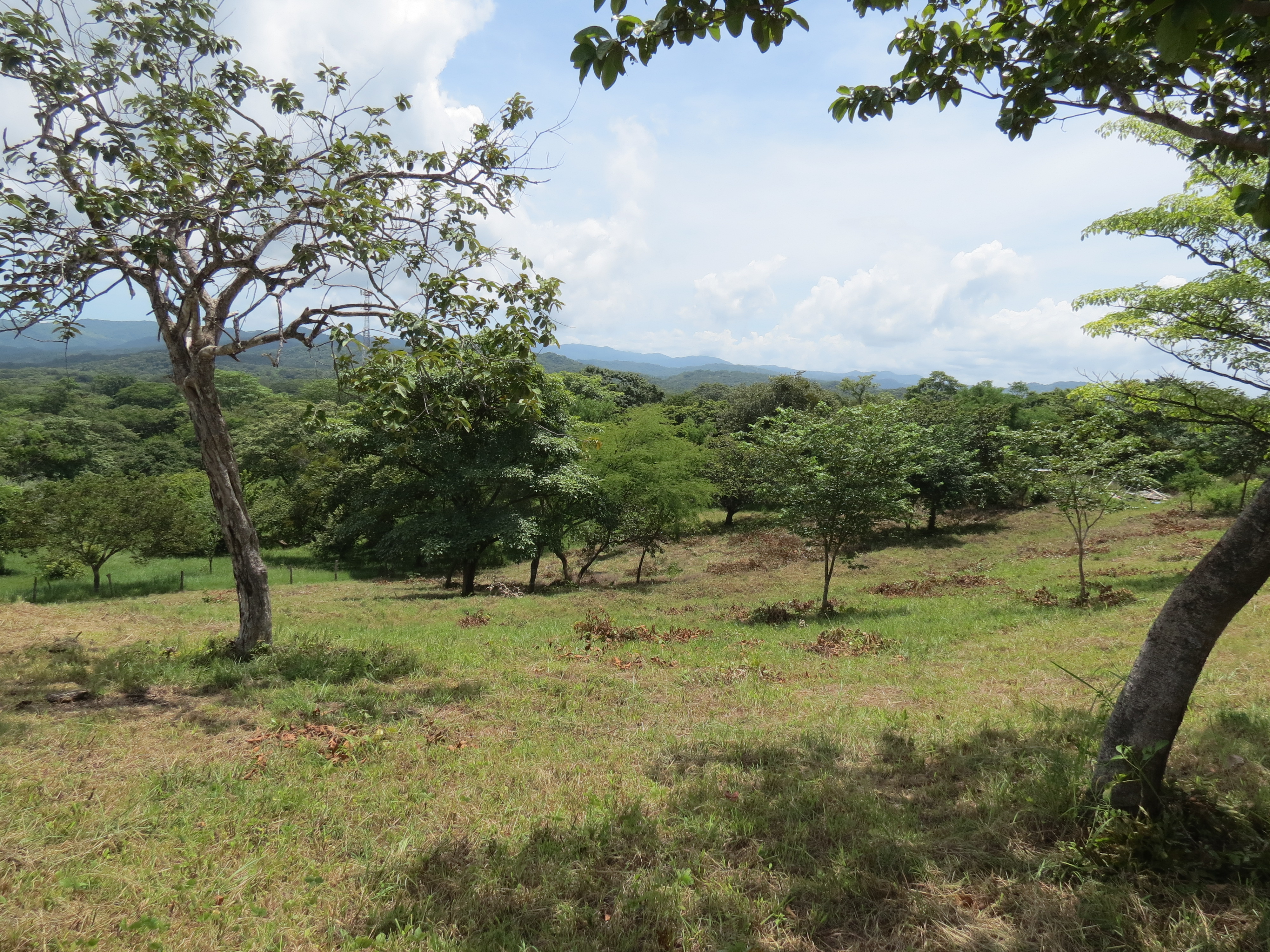 0 bed Land For Sale in Junquillal, Guanacaste - thumb 2