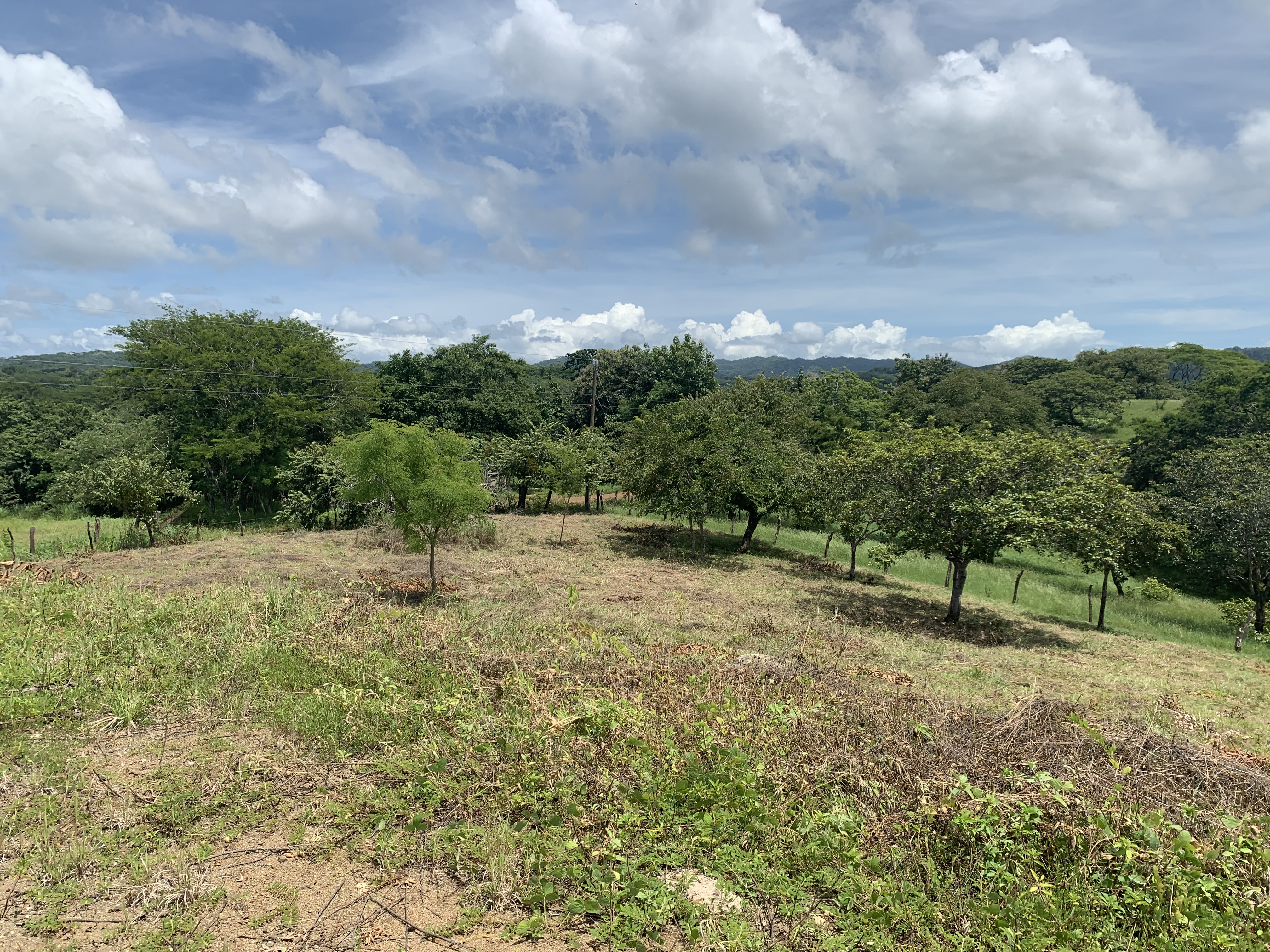 0 bed Land For Sale in Junquillal, Guanacaste - thumb 26