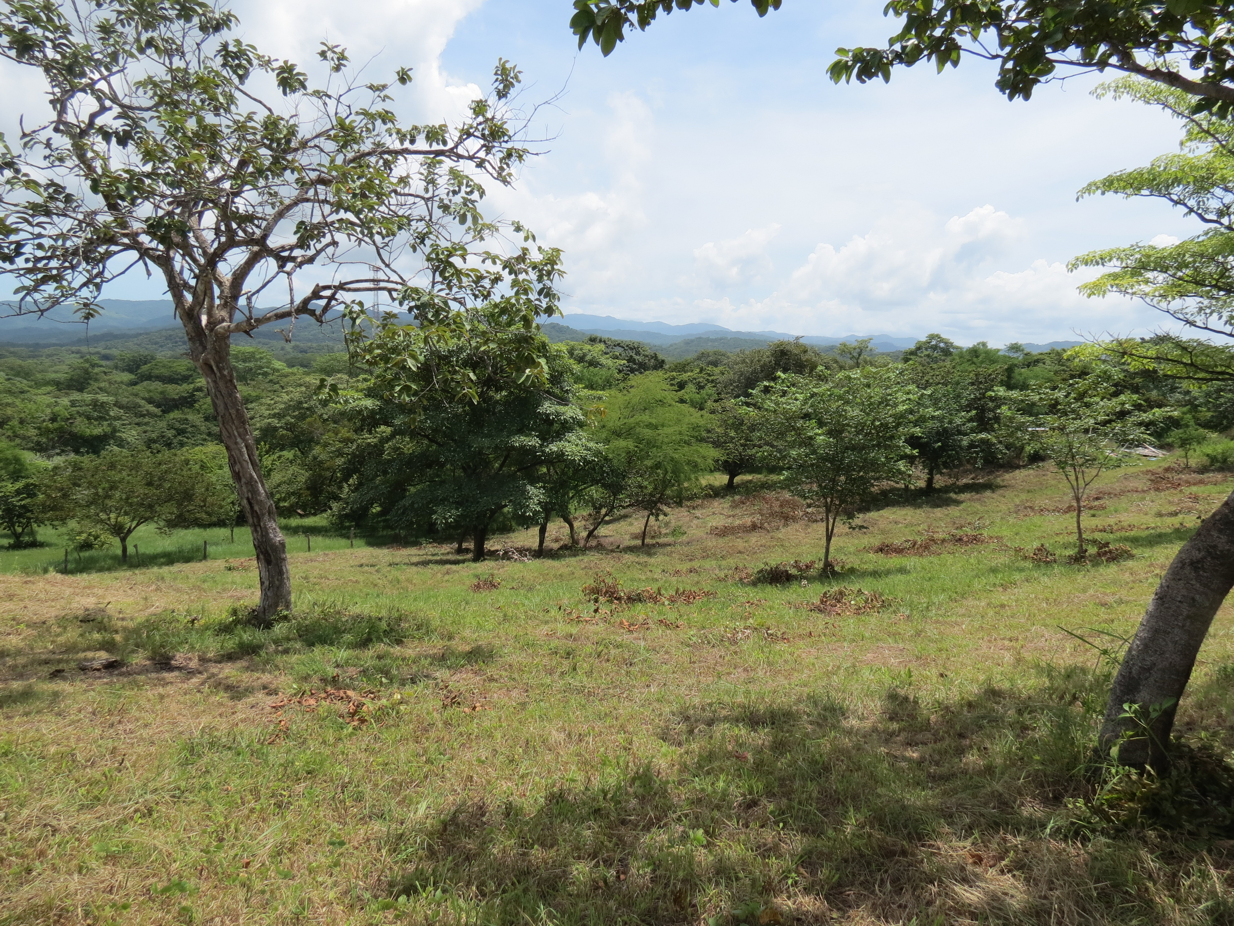 0 bed Land For Sale in Junquillal, Guanacaste - thumb 1