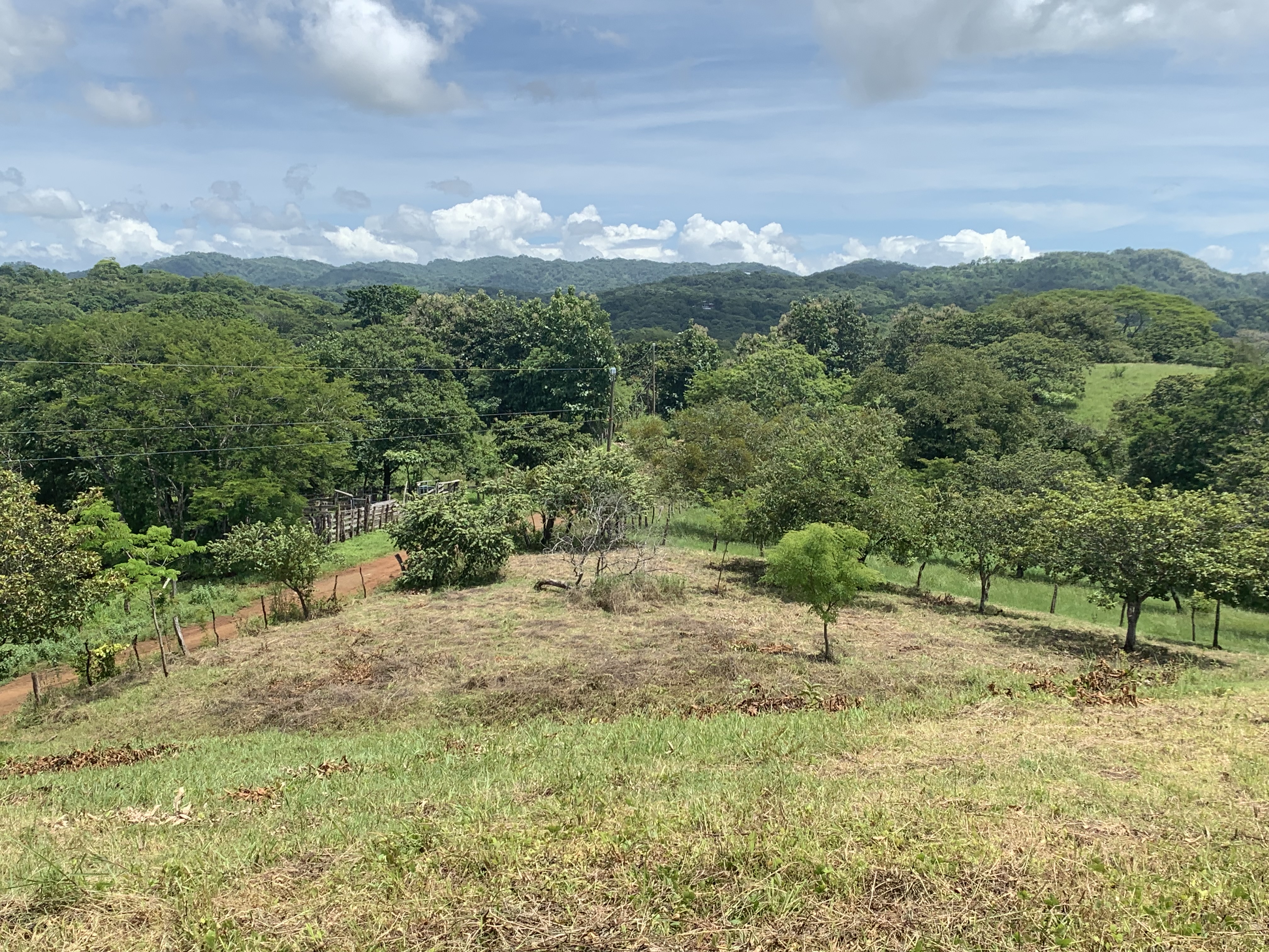 0 bed Land For Sale in Junquillal, Guanacaste - thumb 14