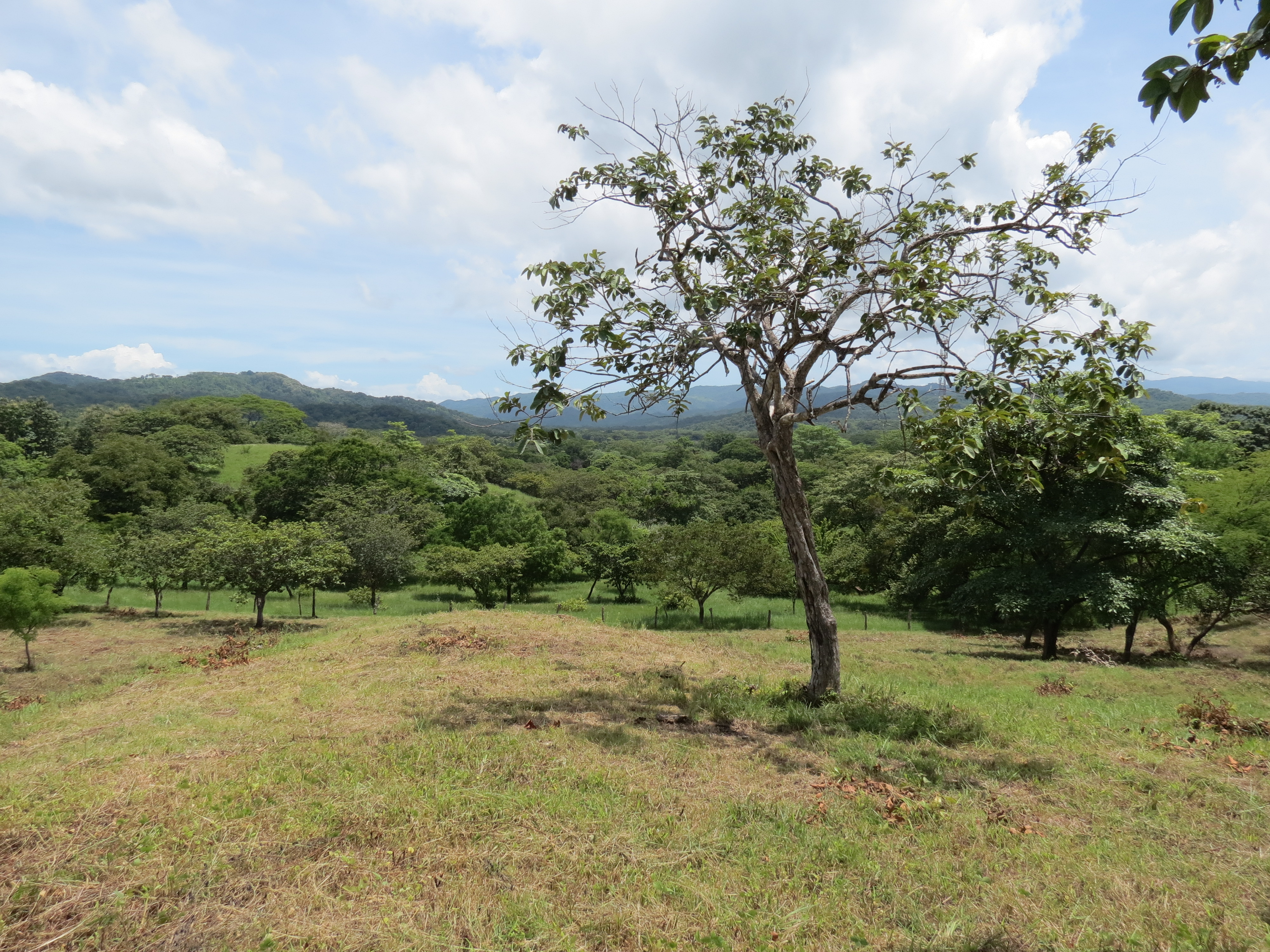 0 bed Land For Sale in Junquillal, Guanacaste - thumb 3