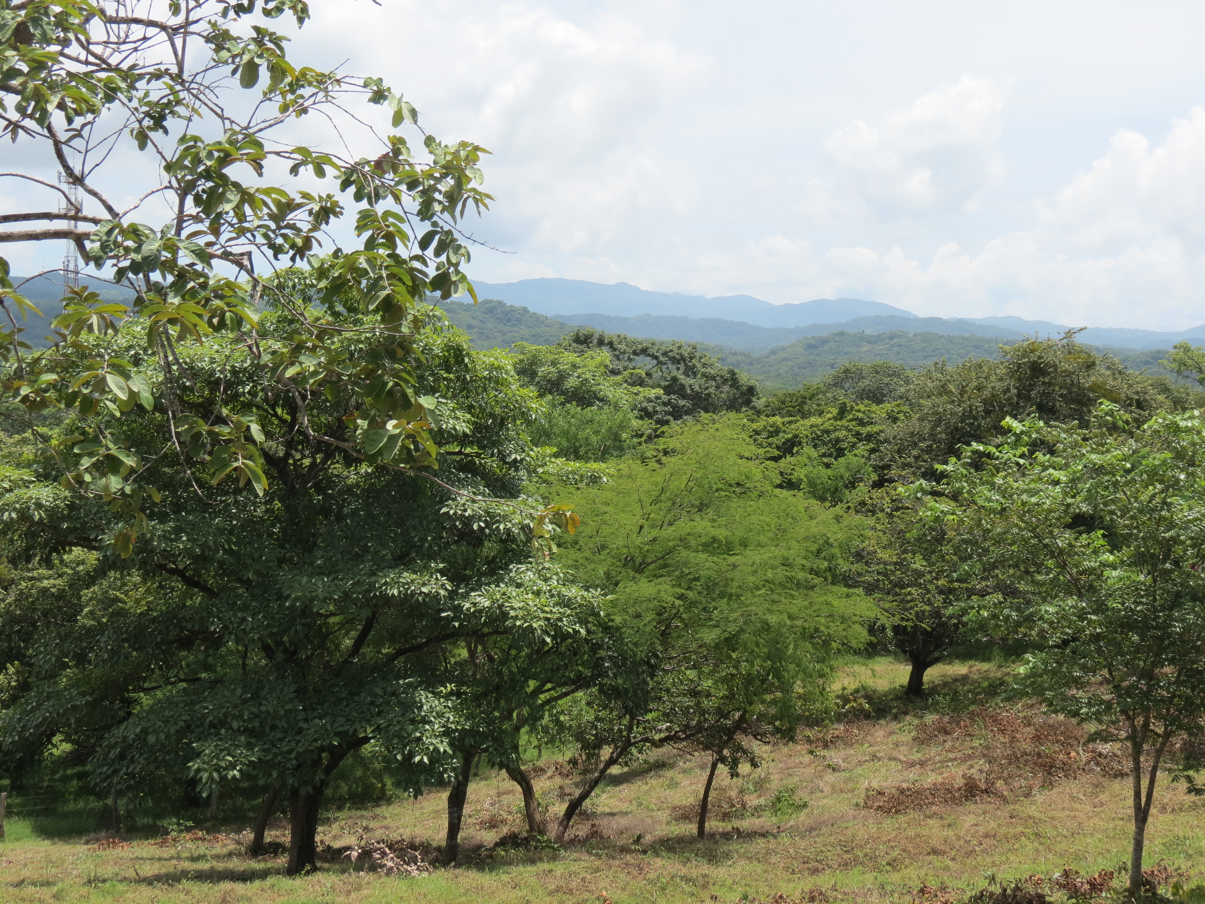 0 bed Land For Sale in Junquillal, Guanacaste - thumb 30