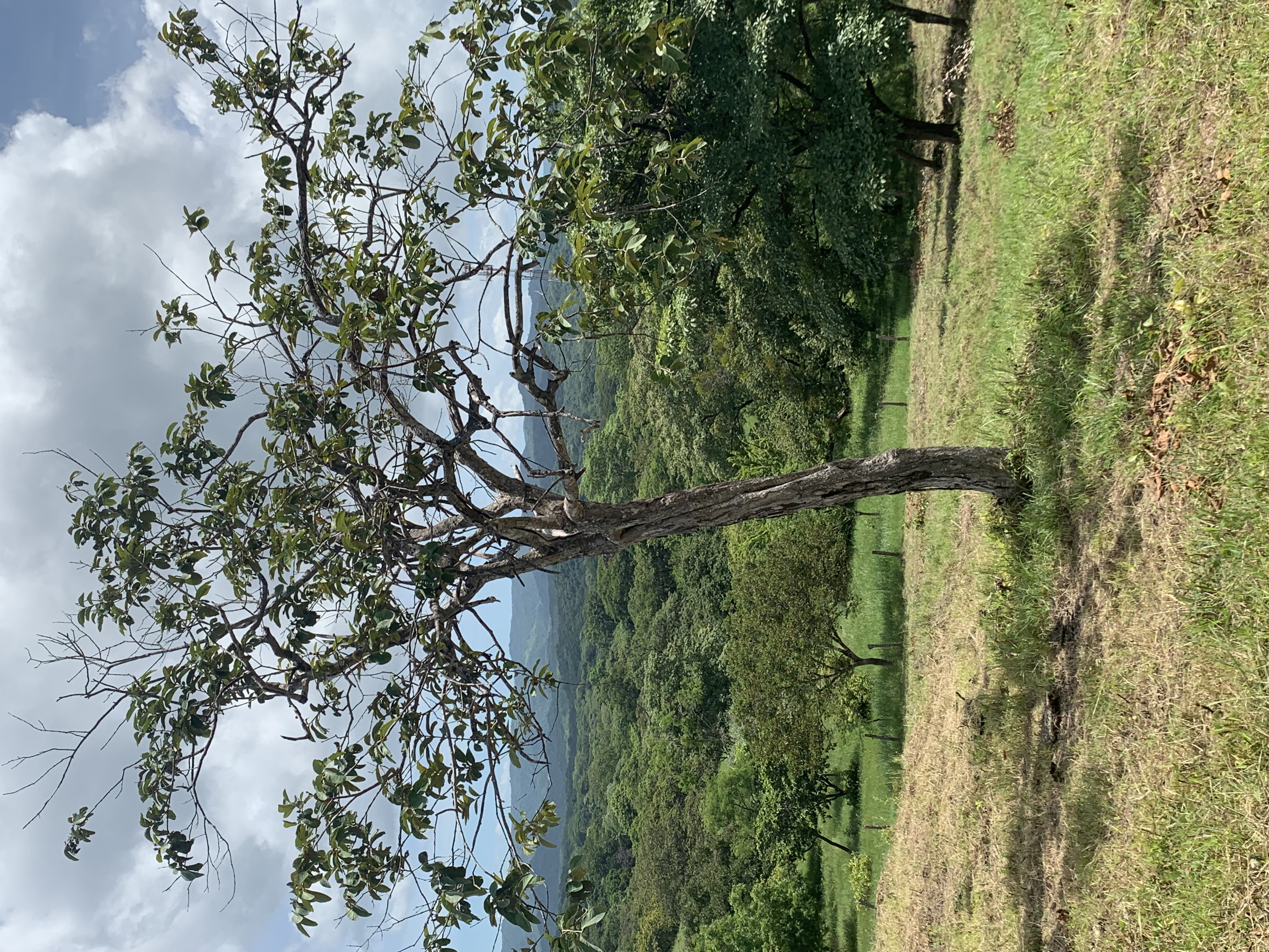 0 bed Land For Sale in Junquillal, Guanacaste - thumb 15