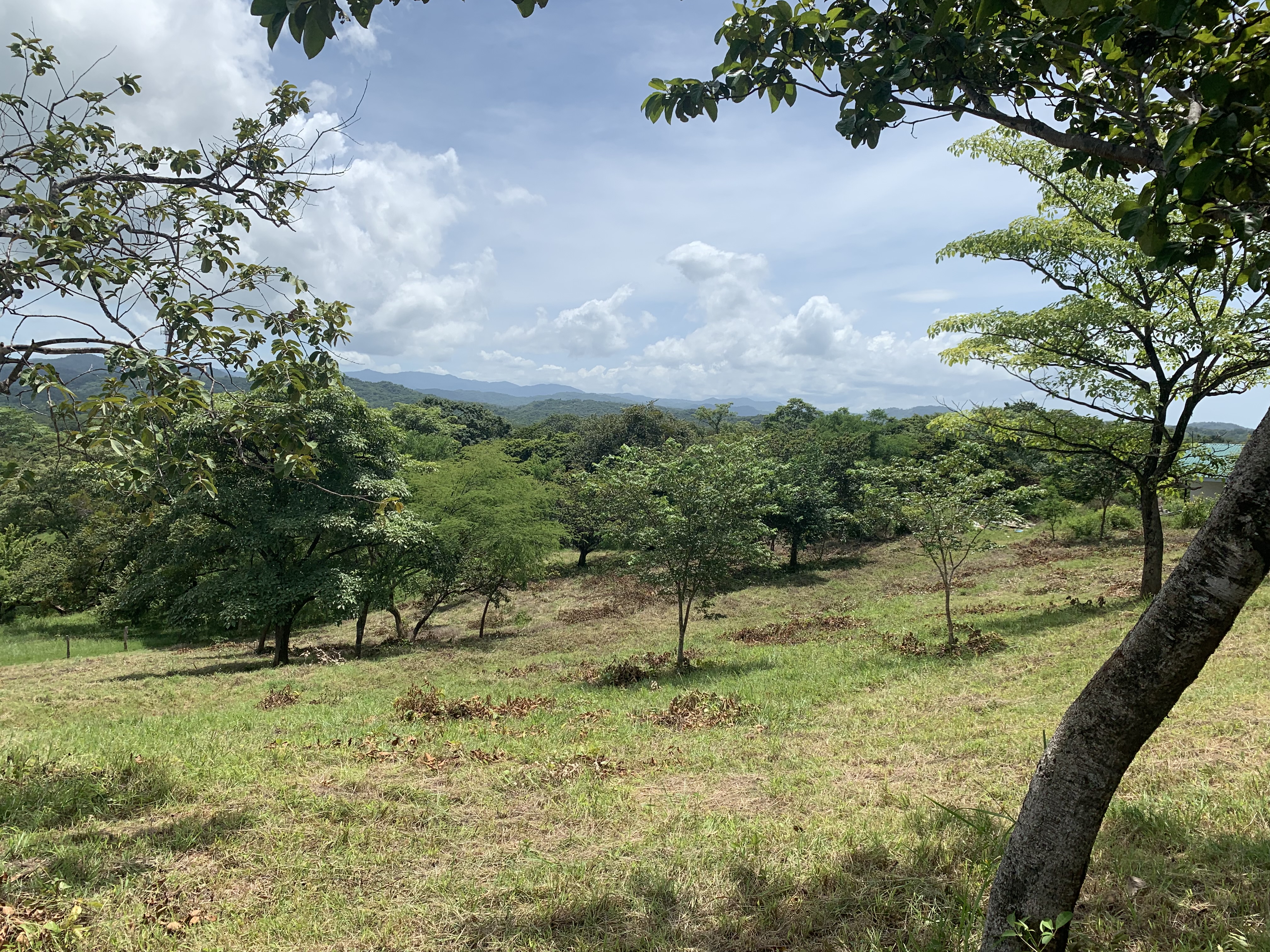 0 bed Land For Sale in Junquillal, Guanacaste - thumb 13
