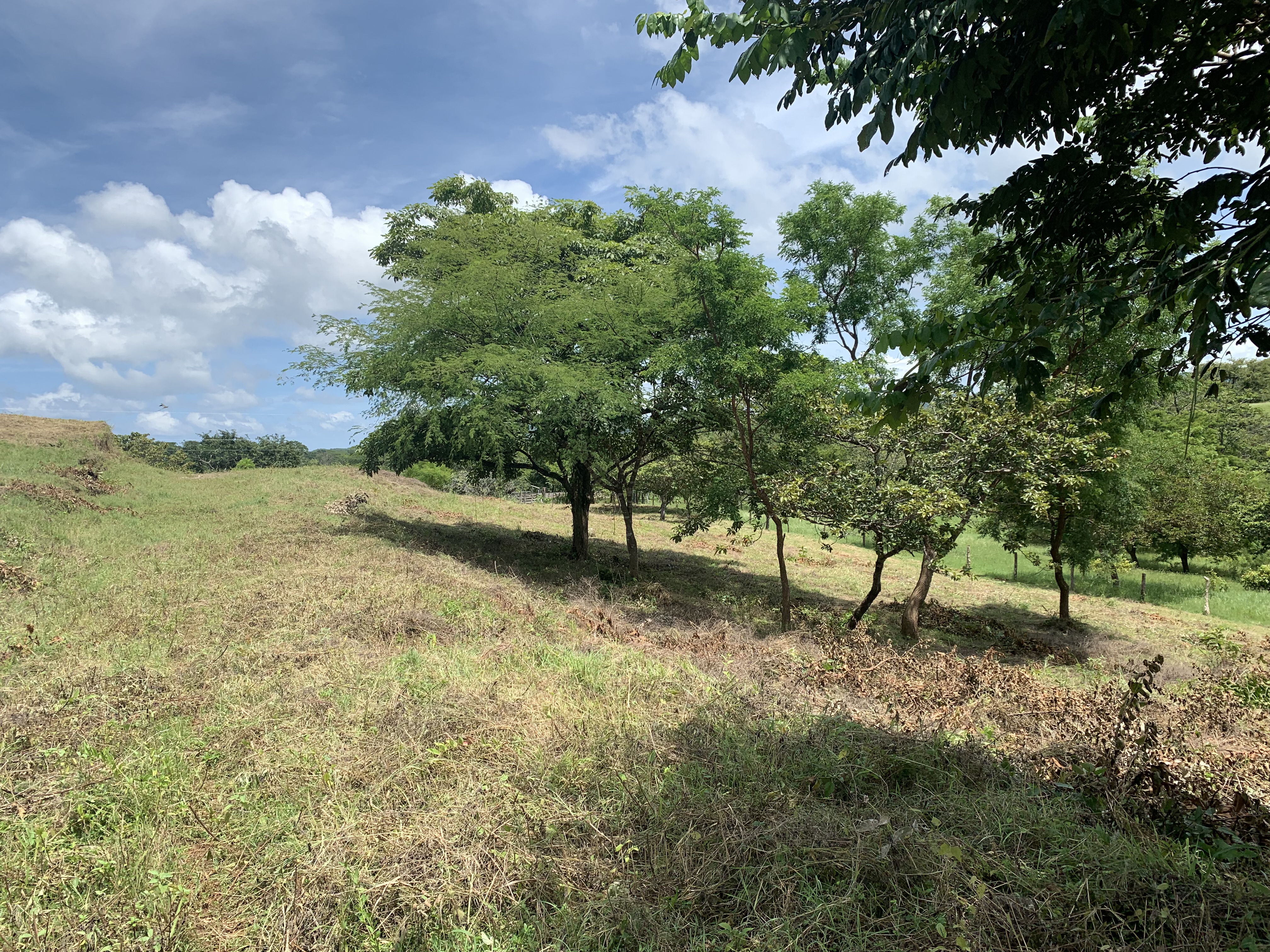 0 bed Land For Sale in Junquillal, Guanacaste - thumb 17