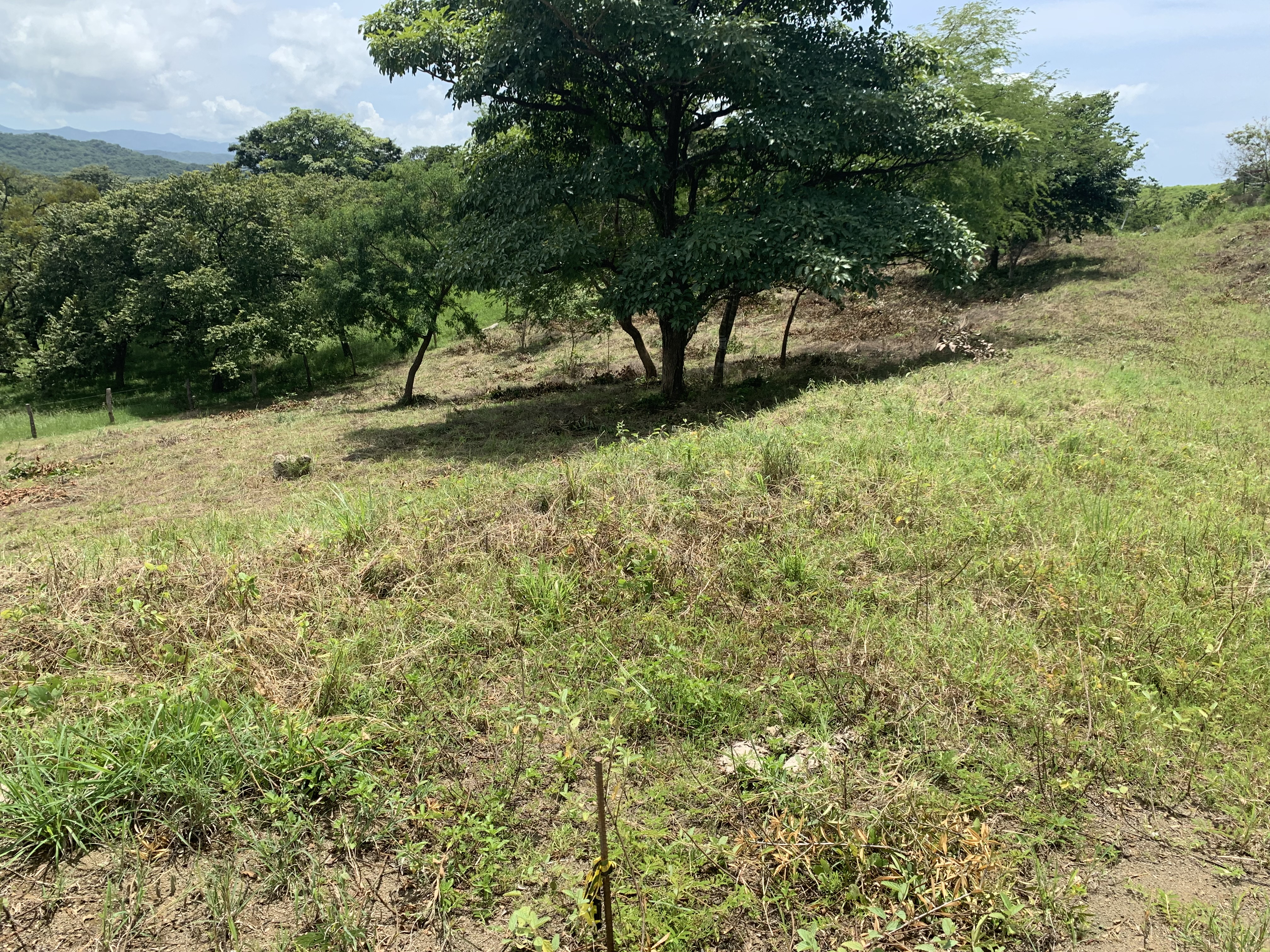 0 bed Land For Sale in Junquillal, Guanacaste - thumb 25
