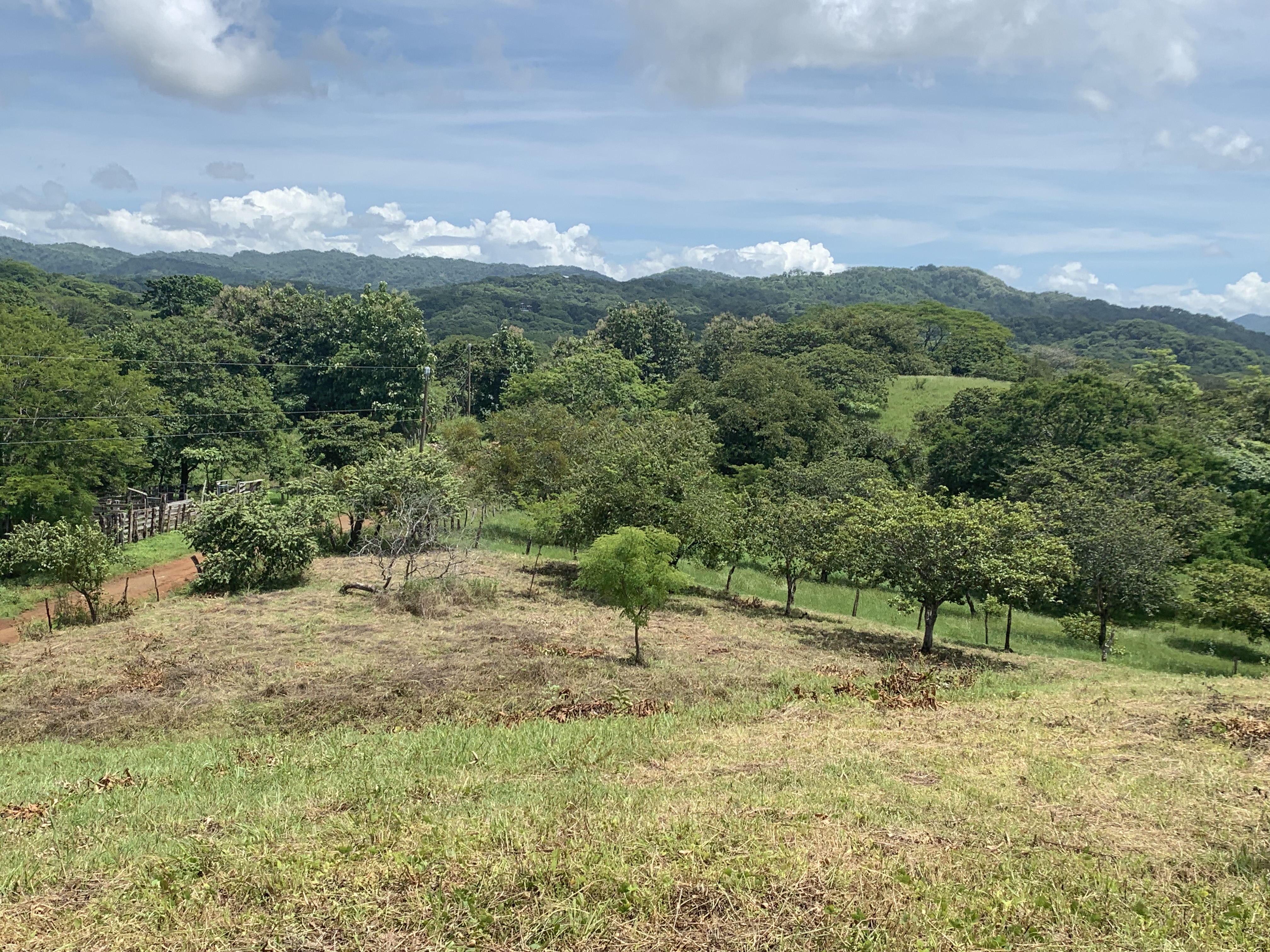 0 bed Land For Sale in Junquillal, Guanacaste - thumb 16