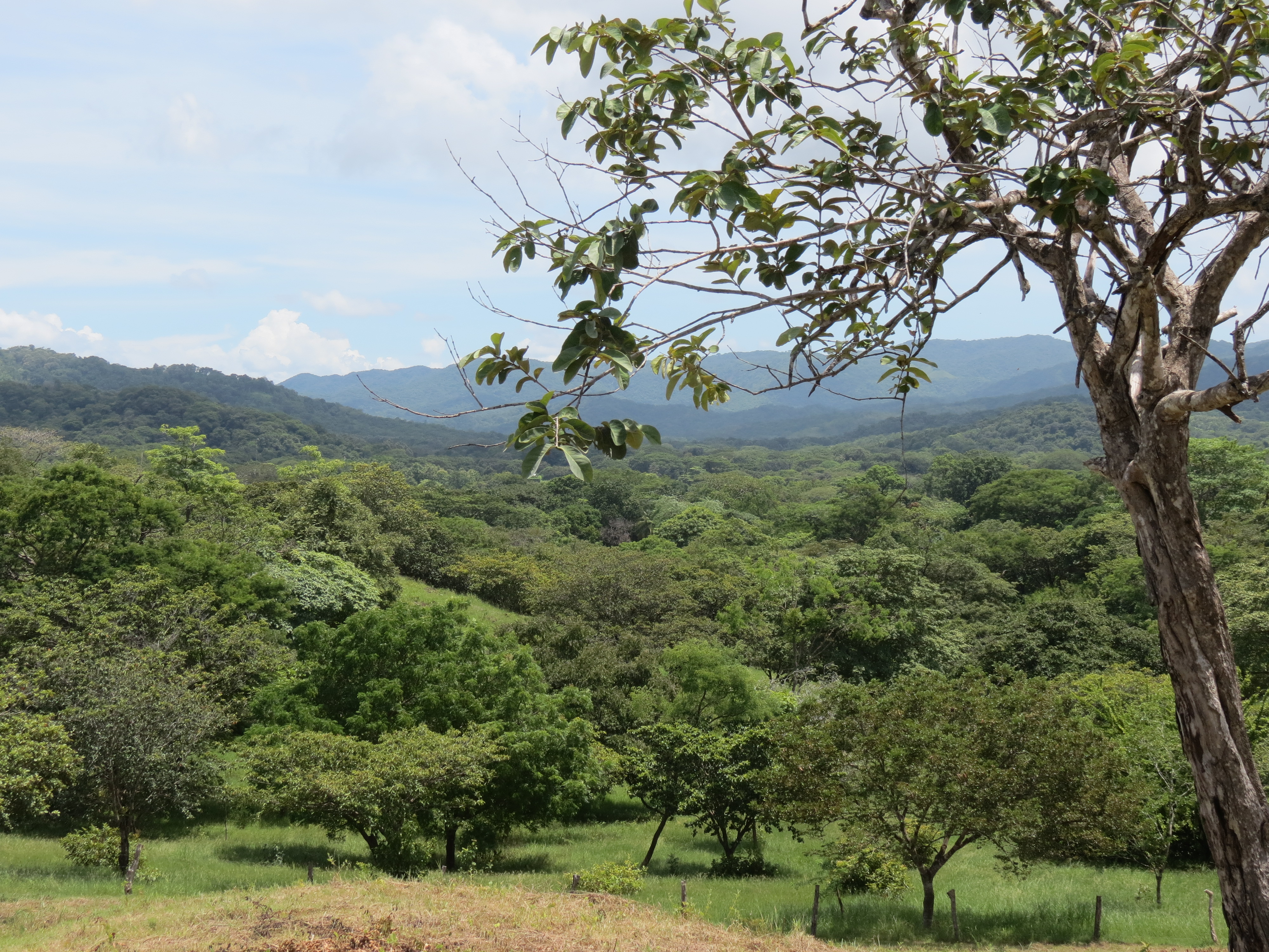 0 bed Land For Sale in Junquillal, Guanacaste - thumb 29