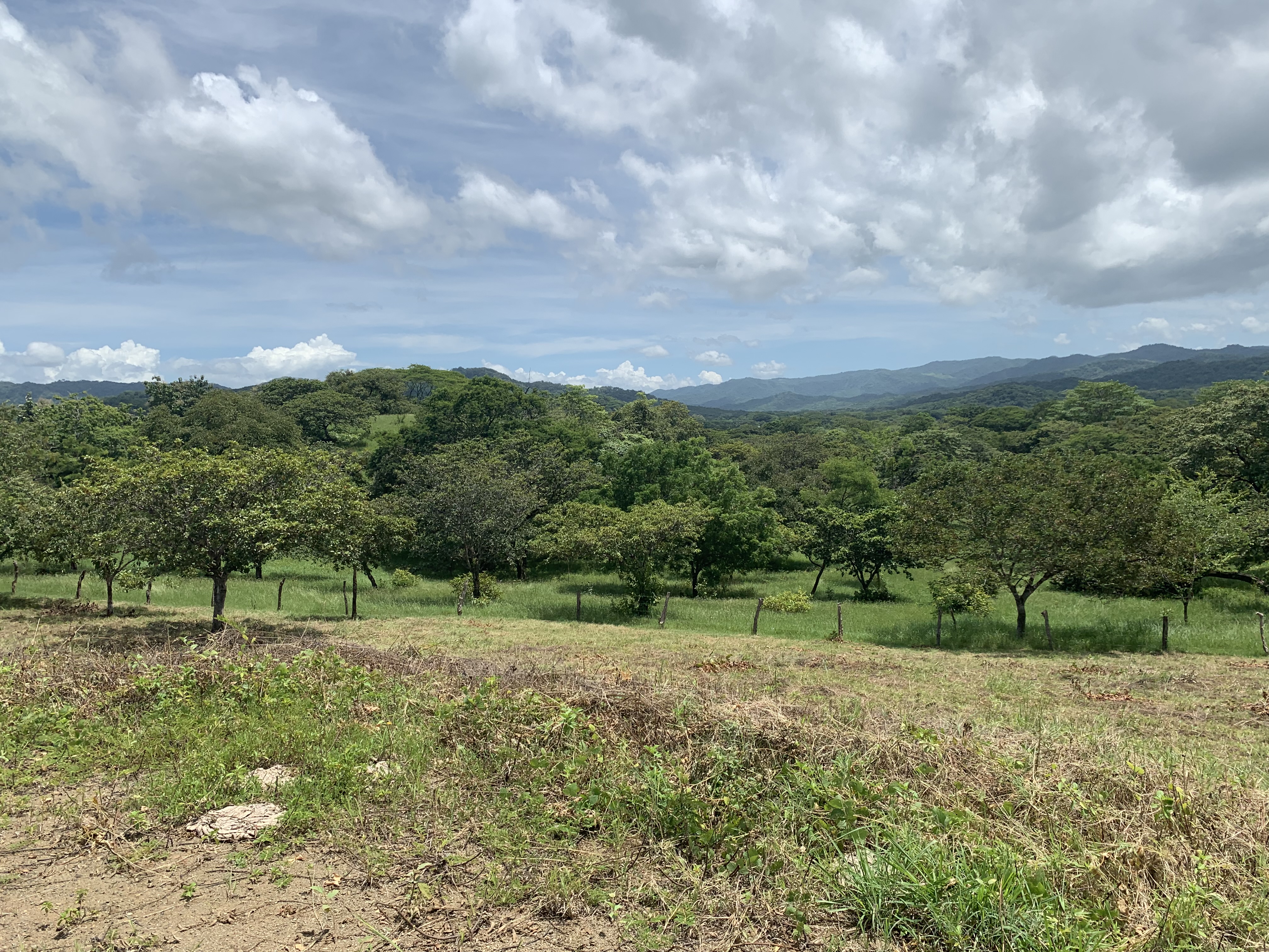 0 bed Land For Sale in Junquillal, Guanacaste - thumb 21