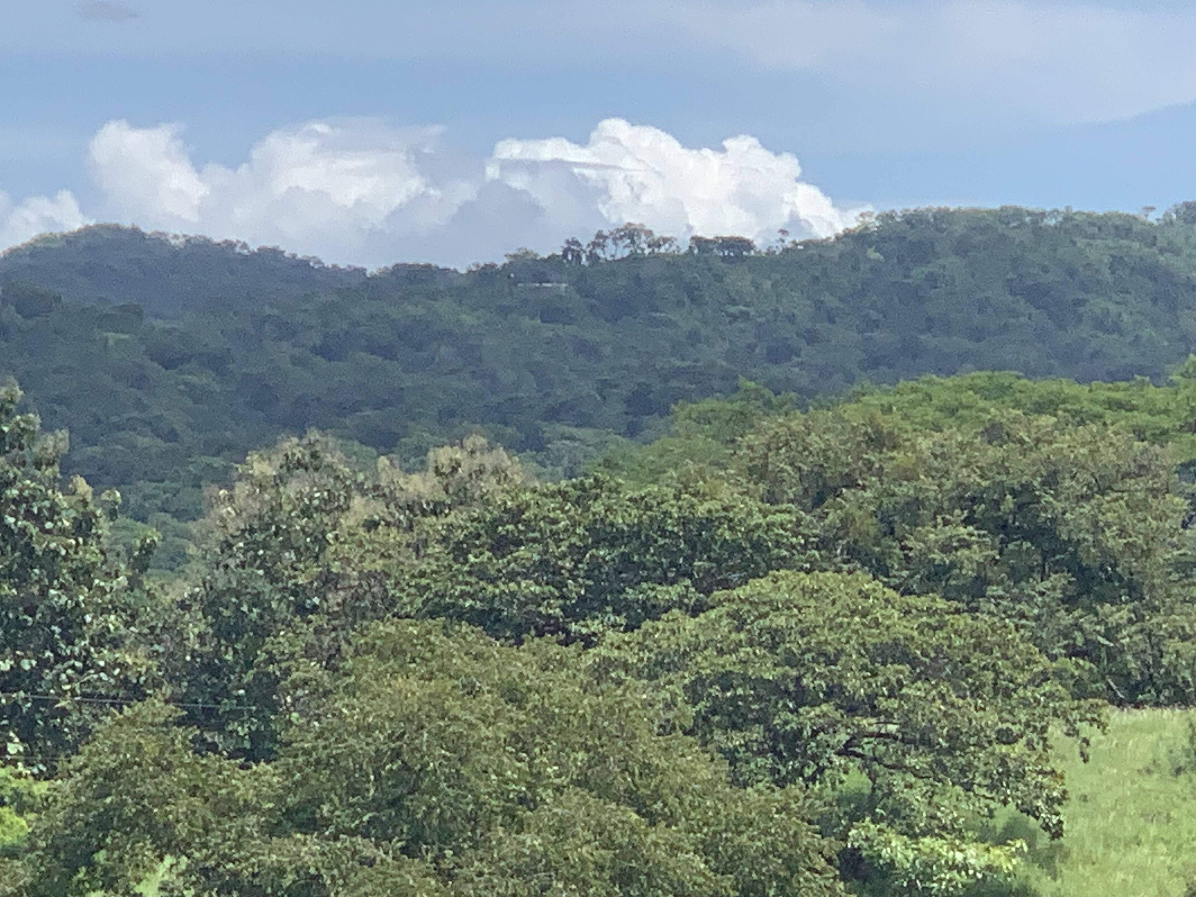0 bed Land For Sale in Junquillal, Guanacaste - thumb 10