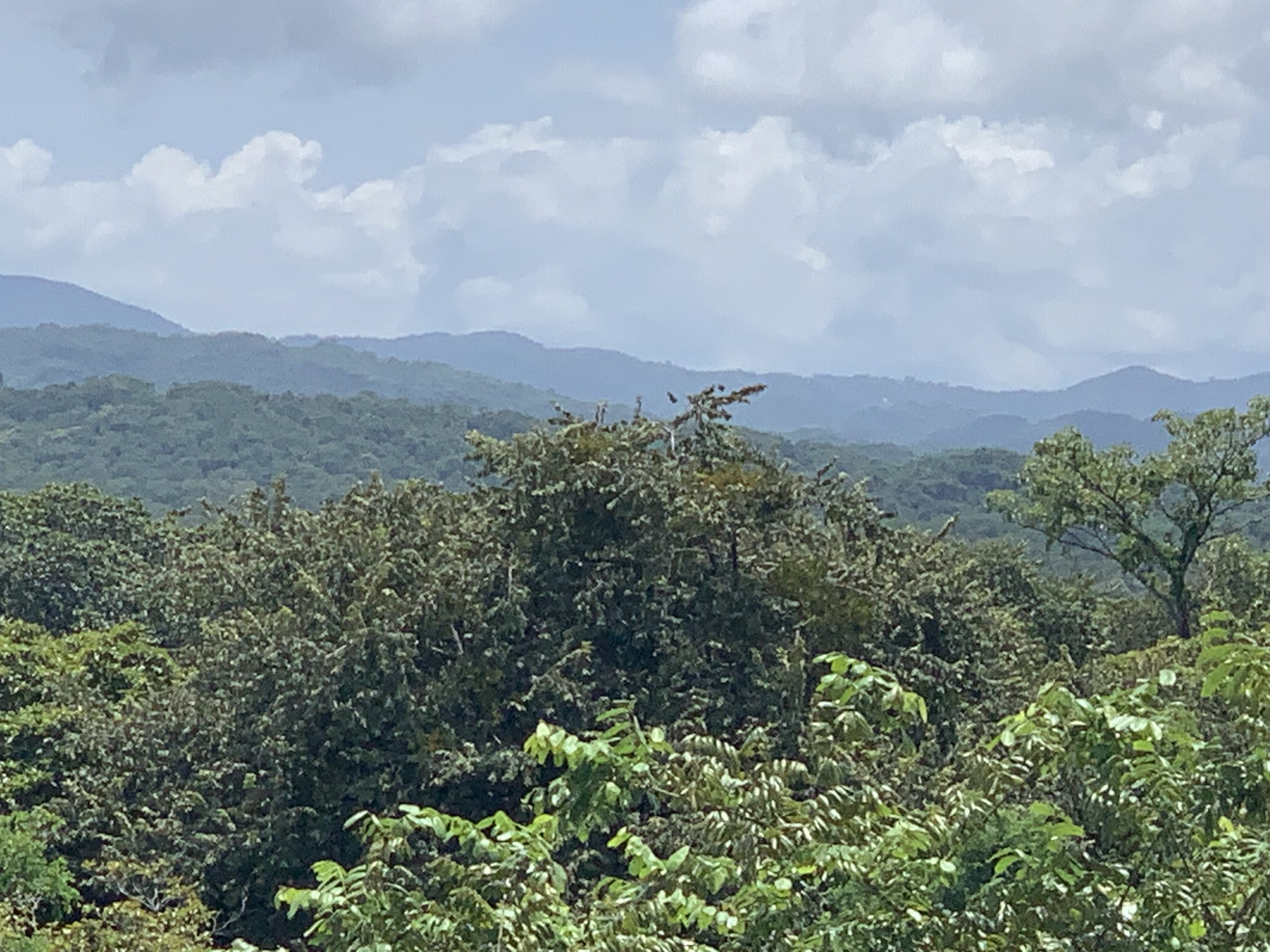 0 bed Land For Sale in Junquillal, Guanacaste - thumb 11