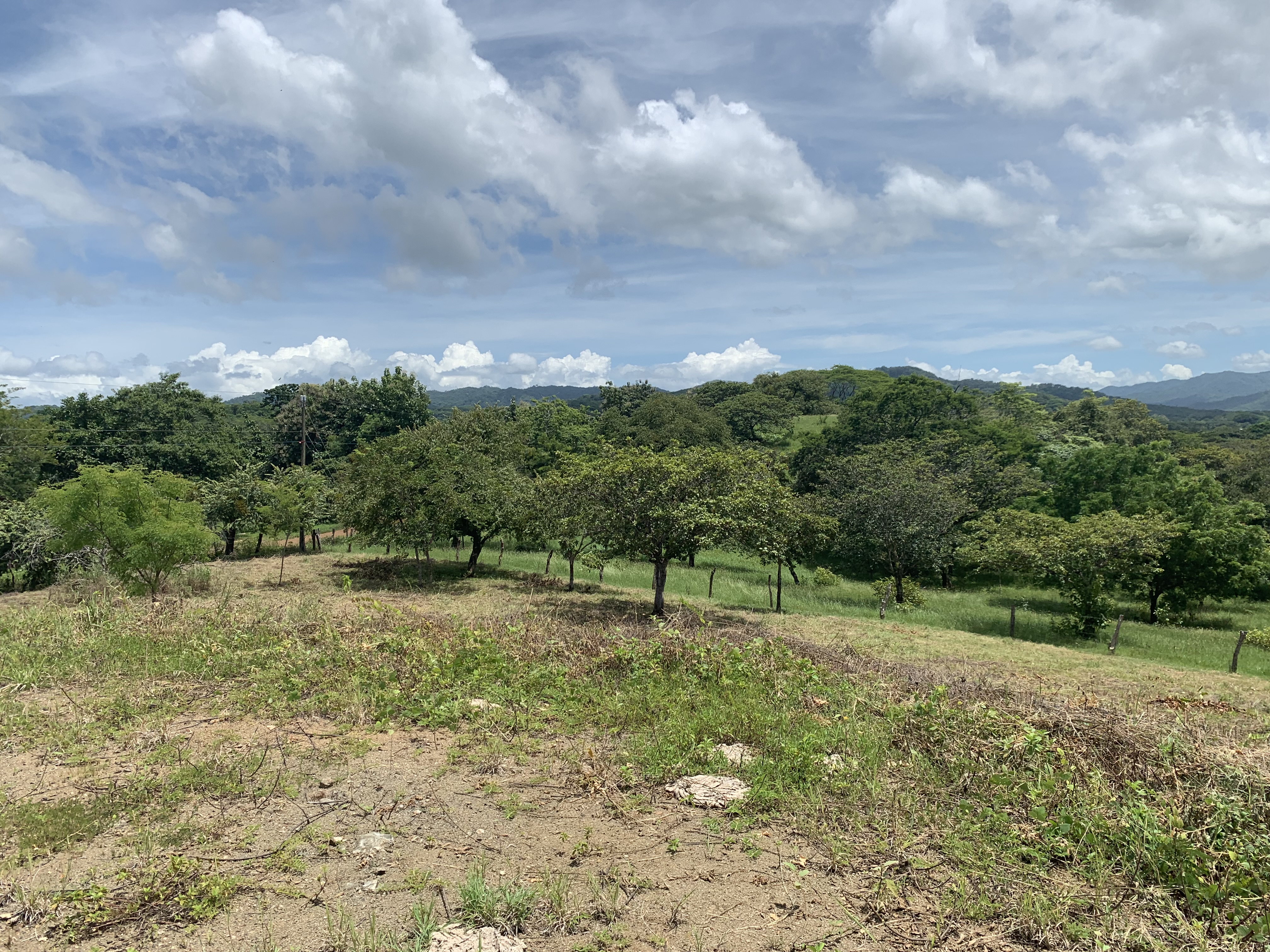 0 bed Land For Sale in Junquillal, Guanacaste - thumb 23