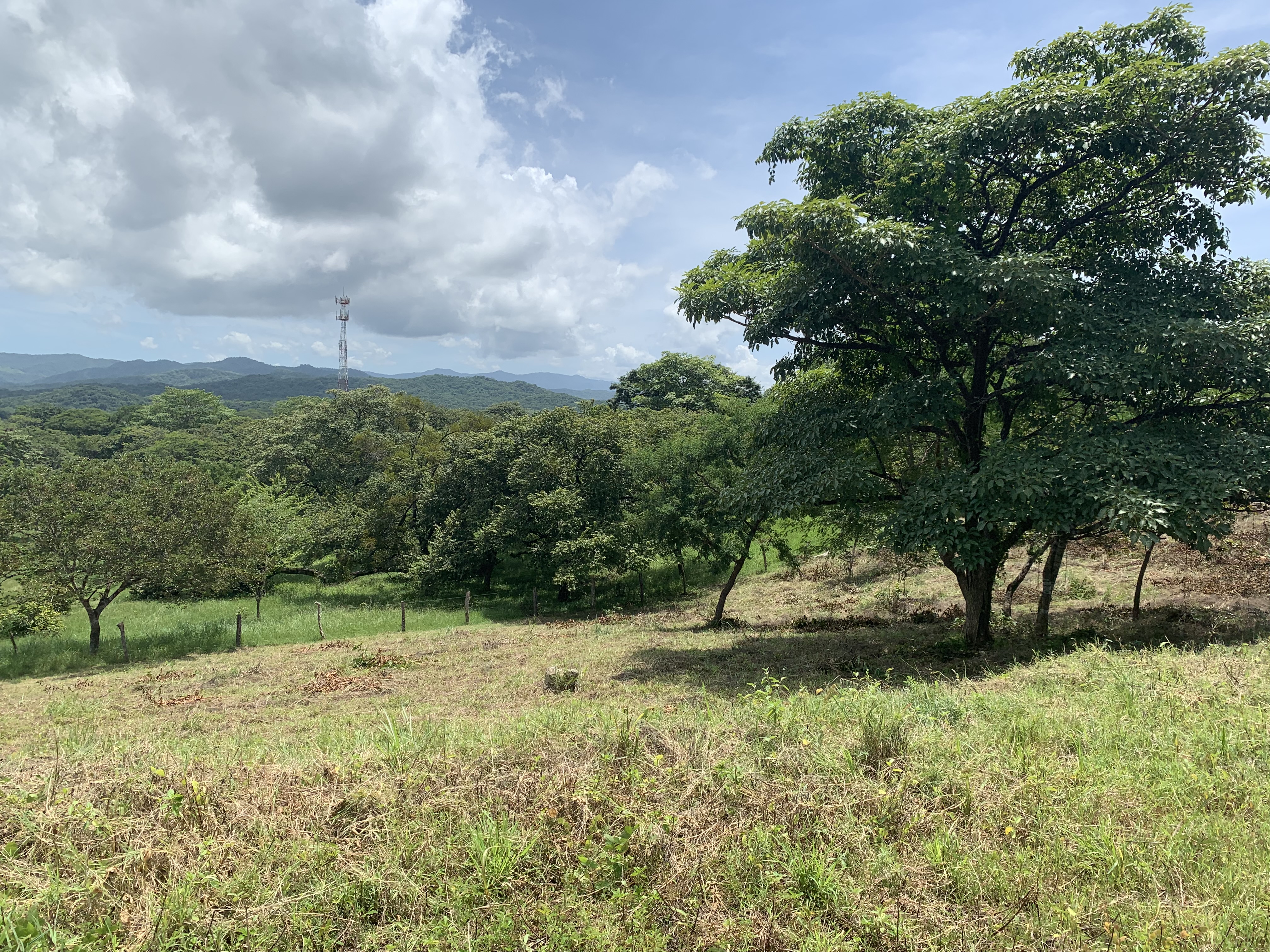 0 bed Land For Sale in Junquillal, Guanacaste - thumb 22