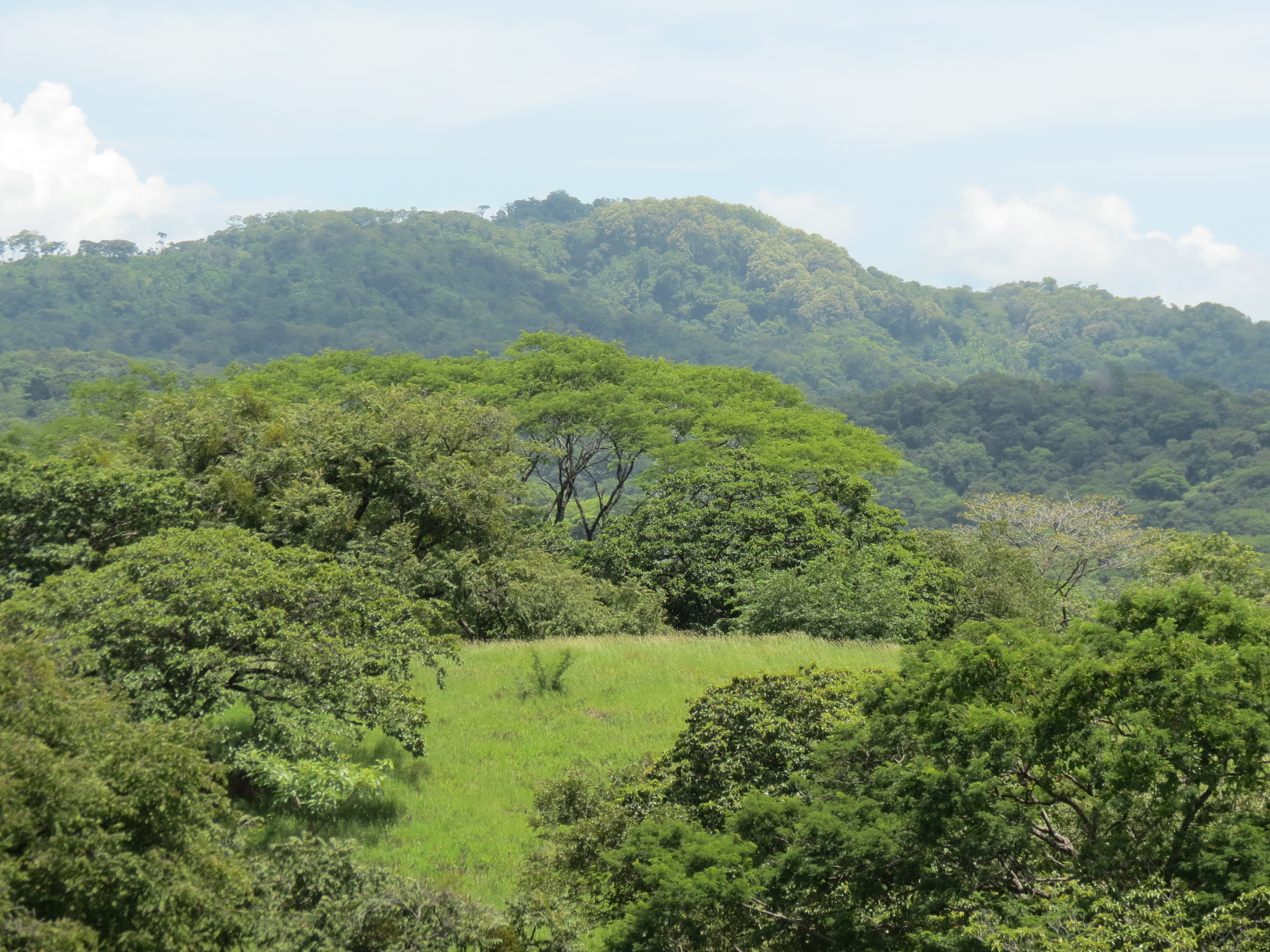 0 bed Land For Sale in Junquillal, Guanacaste - thumb 28