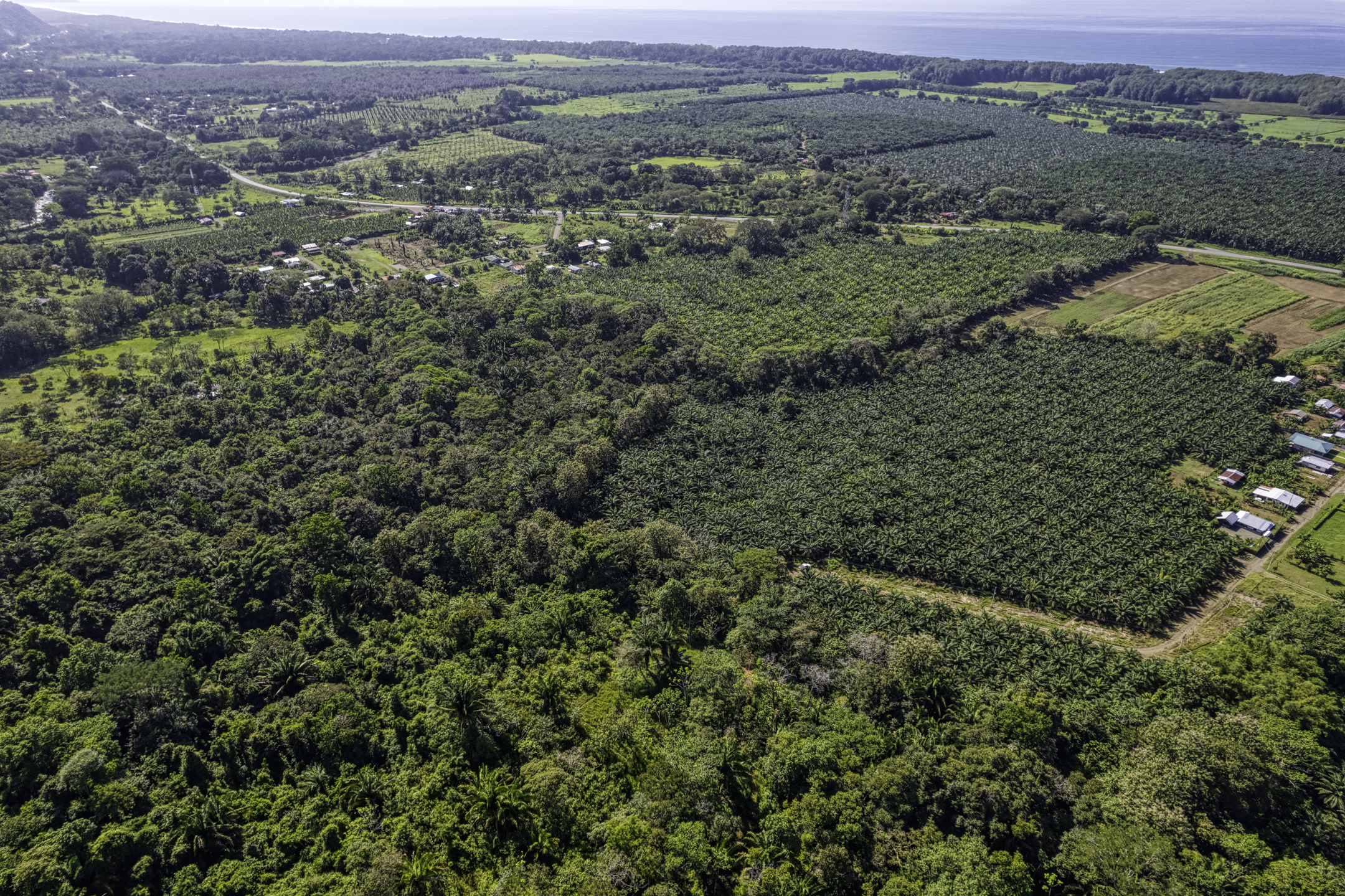 0 bed Land For Sale in Dominical, Puntarenas - thumb 12