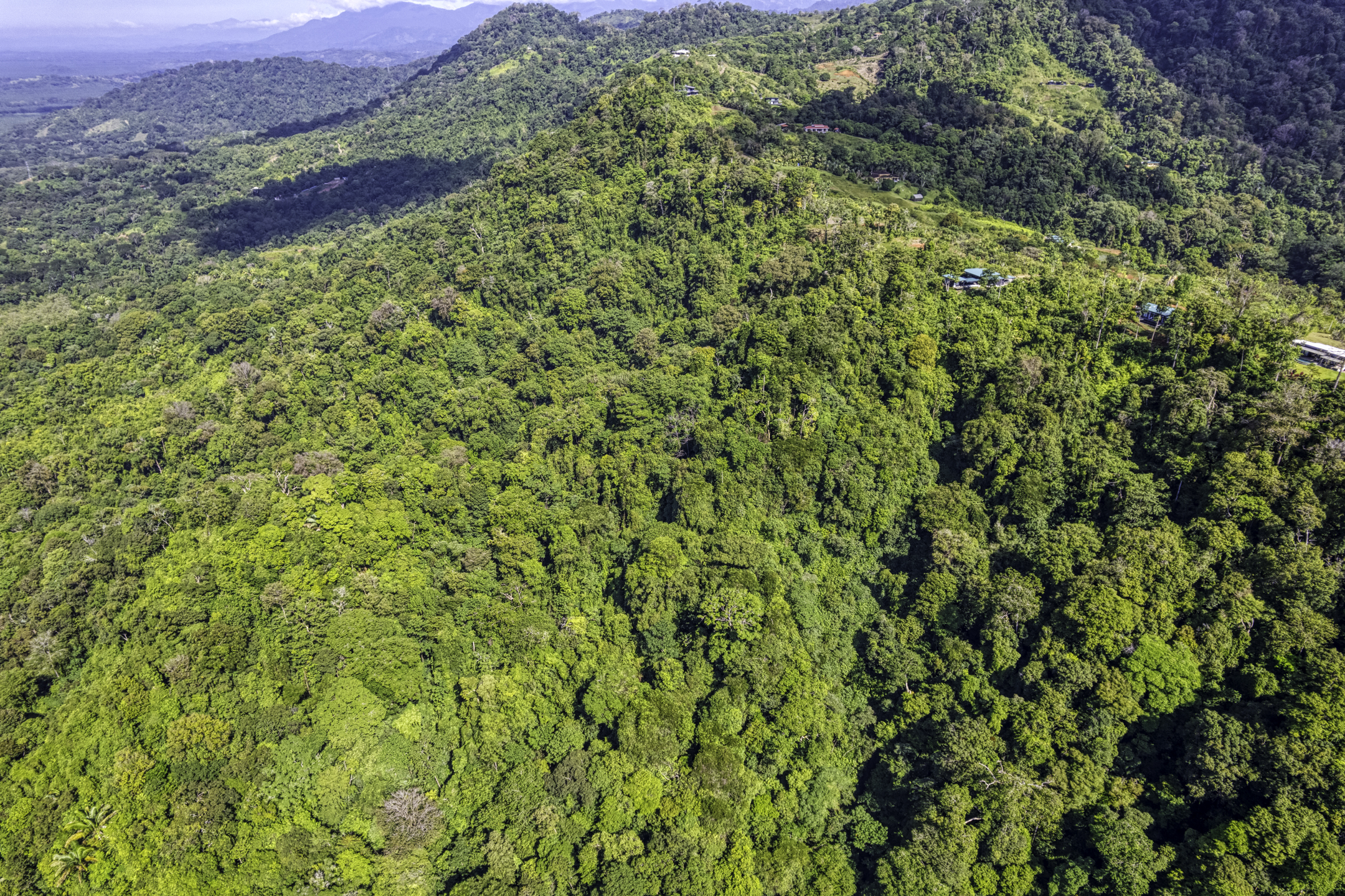 0 bed Land For Sale in Dominical, Puntarenas - thumb 14