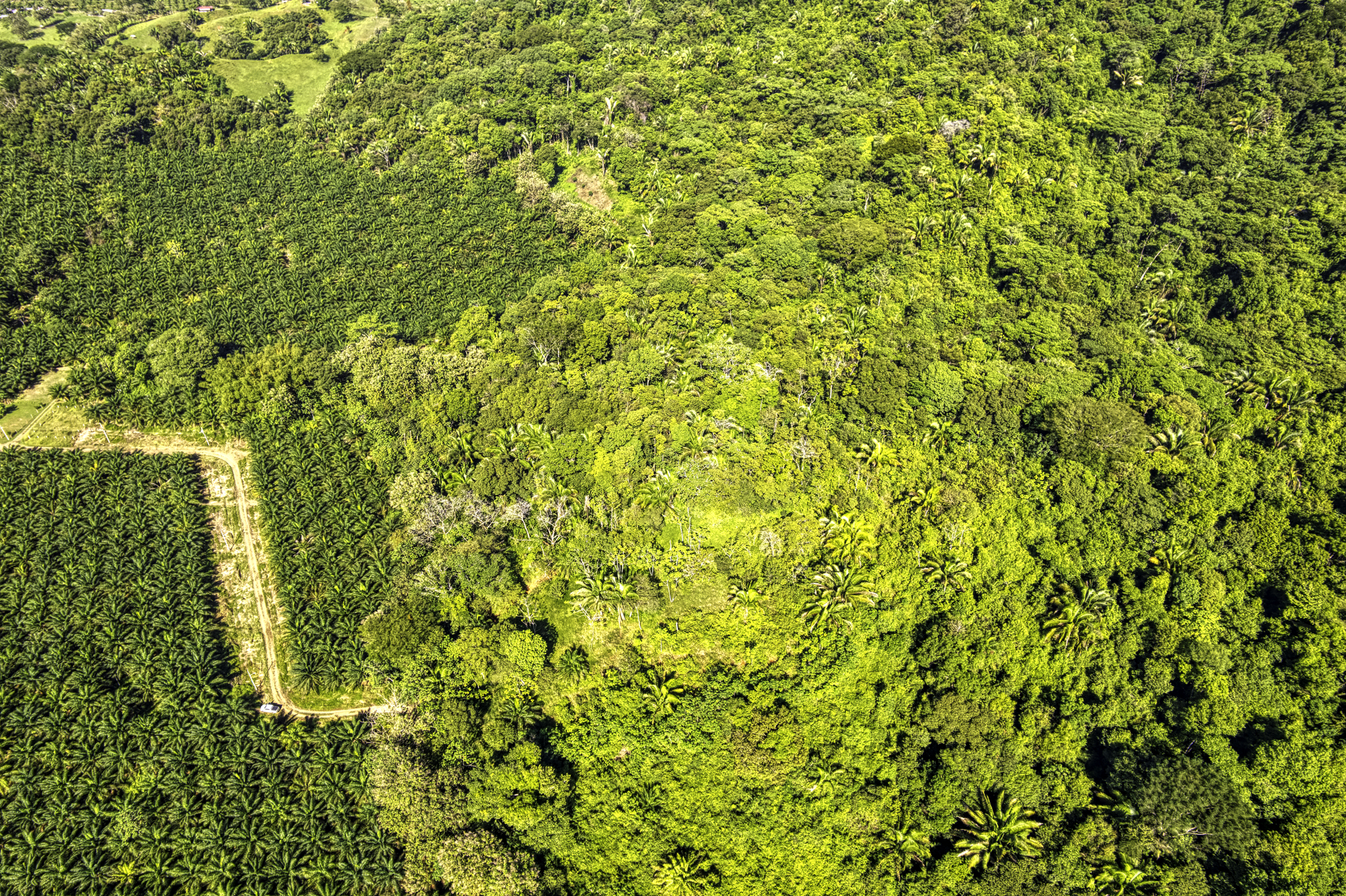 0 bed Land For Sale in Dominical, Puntarenas - thumb 8