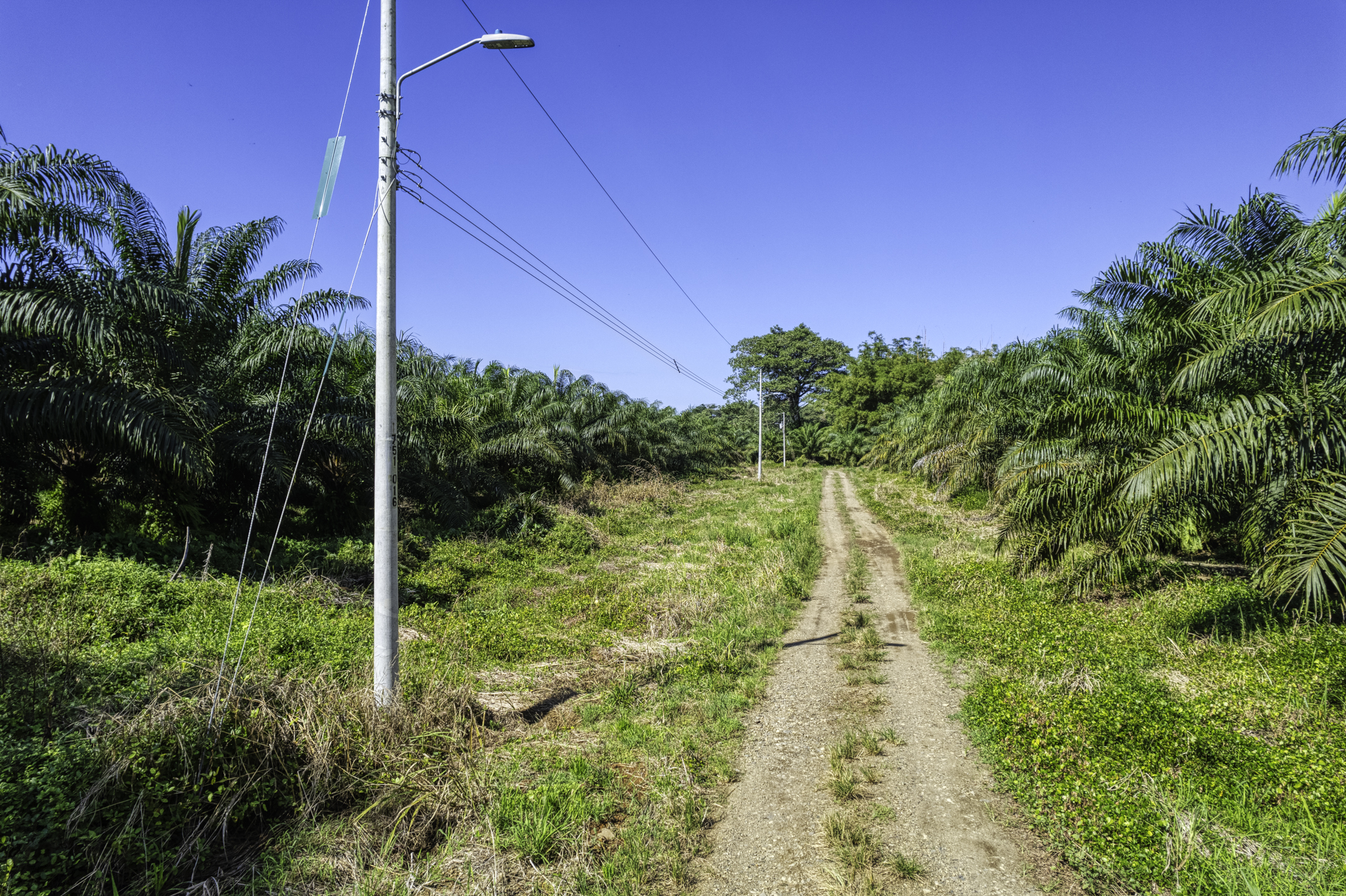 0 bed Land For Sale in Dominical, Puntarenas - thumb 4