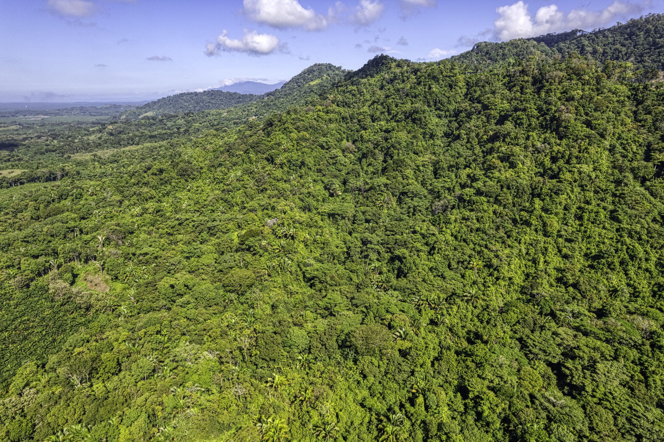 0 bed Land For Sale in Dominical, Puntarenas - thumb 6