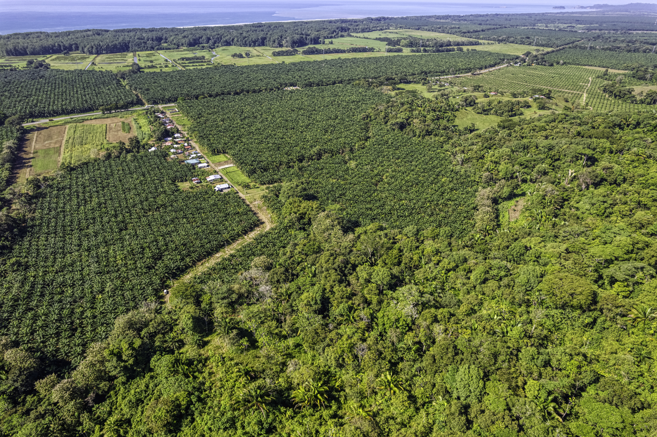 0 bed Land For Sale in Dominical, Puntarenas - thumb 9