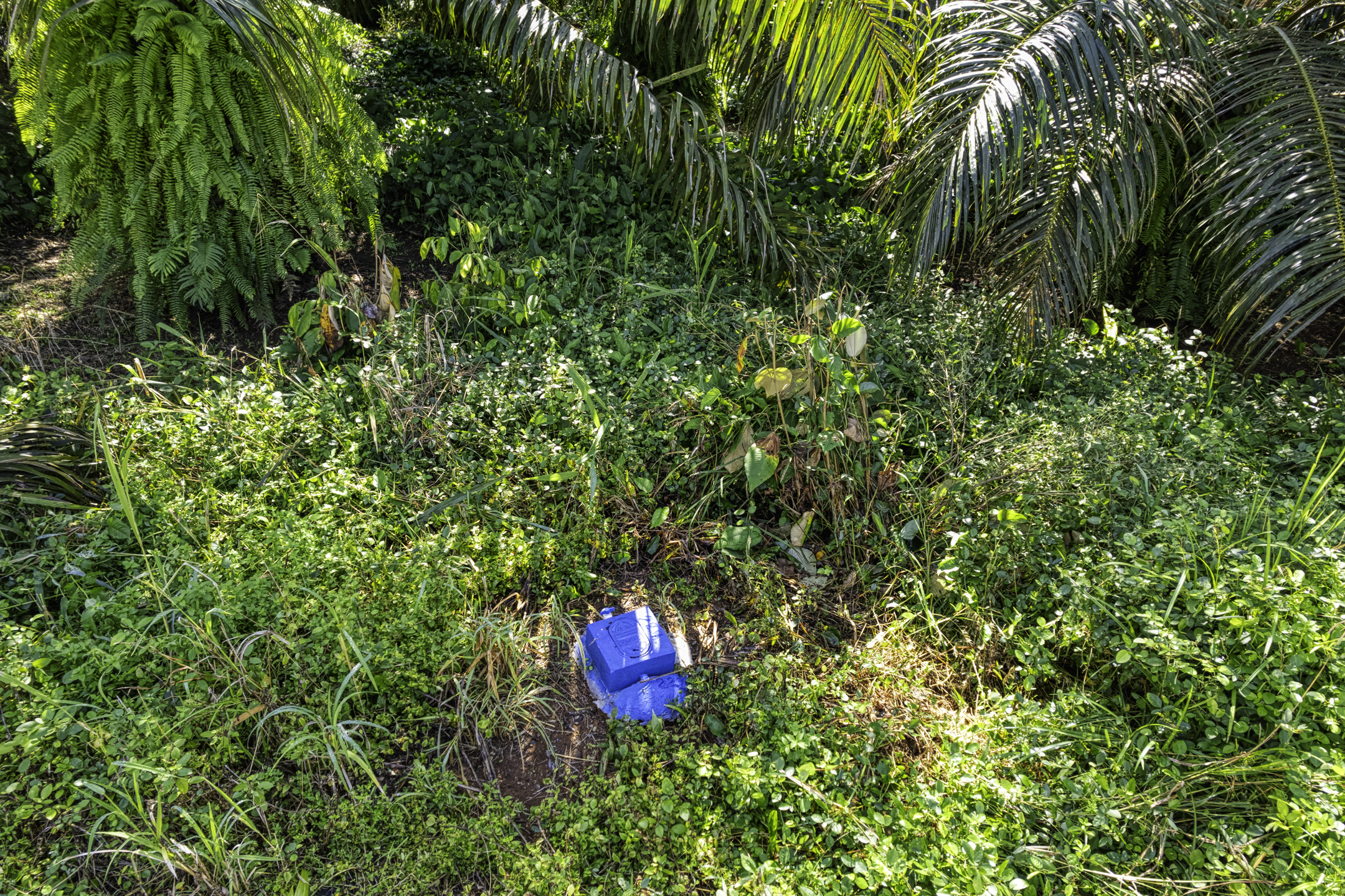 0 bed Land For Sale in Dominical, Puntarenas - thumb 17