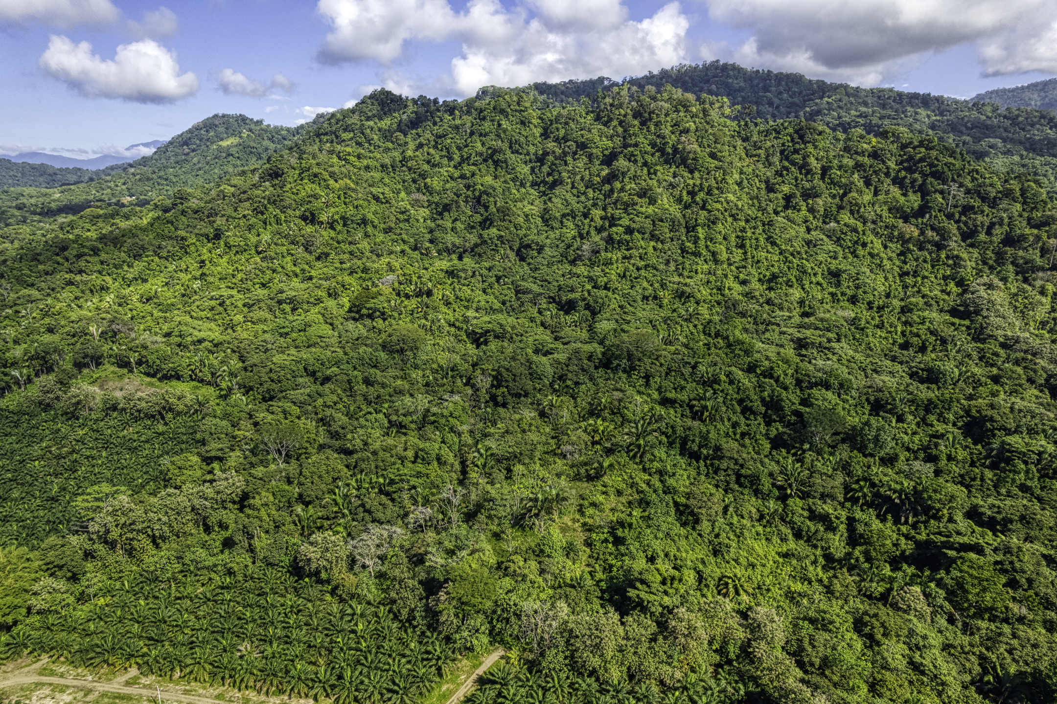 0 bed Land For Sale in Dominical, Puntarenas - thumb 15