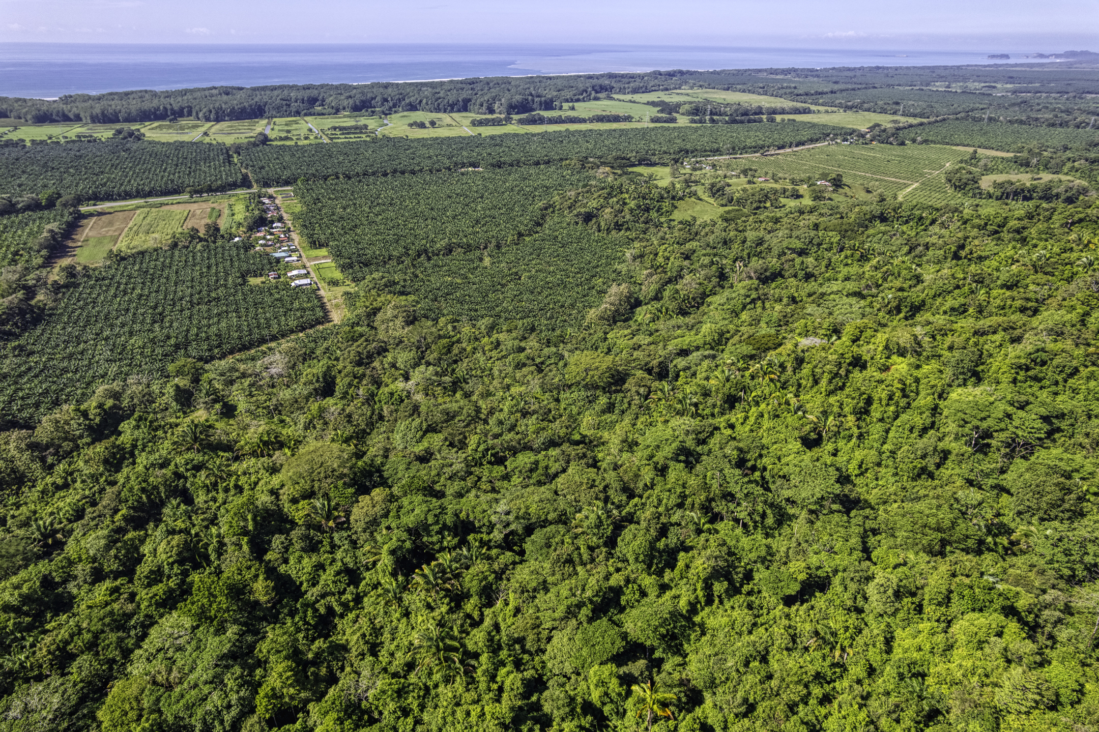 0 bed Land For Sale in Dominical, Puntarenas - thumb 10