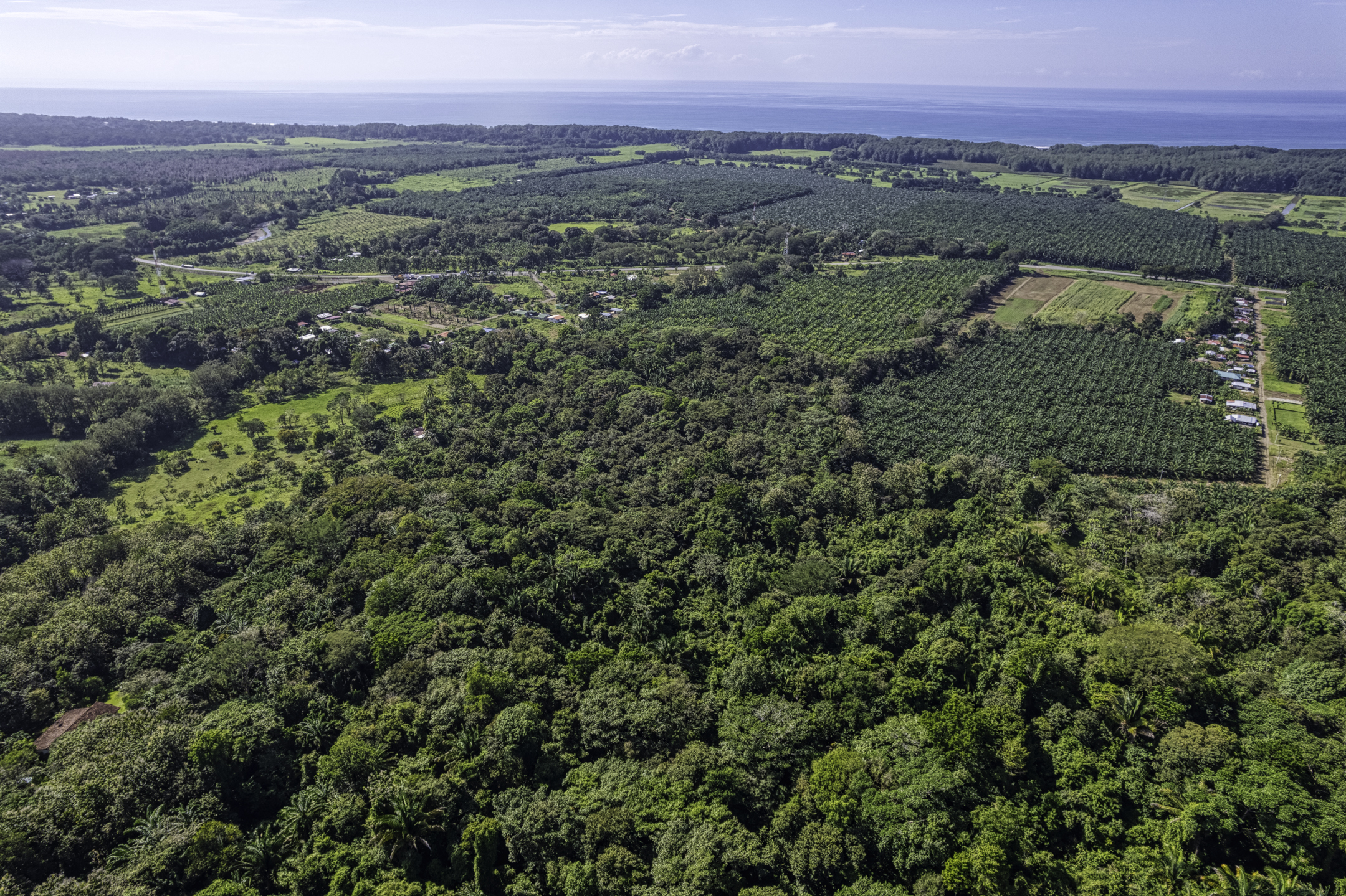 0 bed Land For Sale in Dominical, Puntarenas - thumb 11