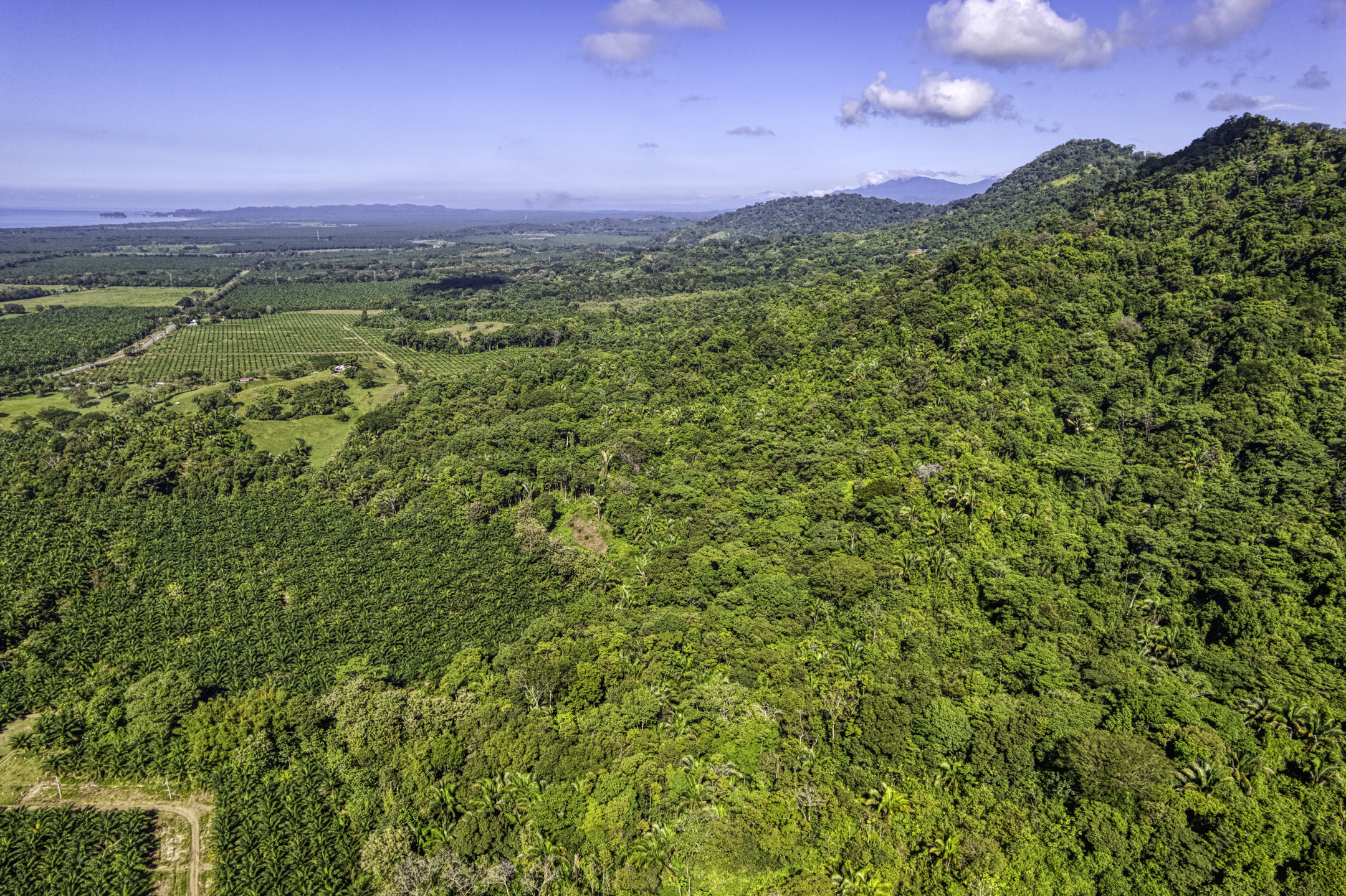 0 bed Land For Sale in Dominical, Puntarenas - thumb 7