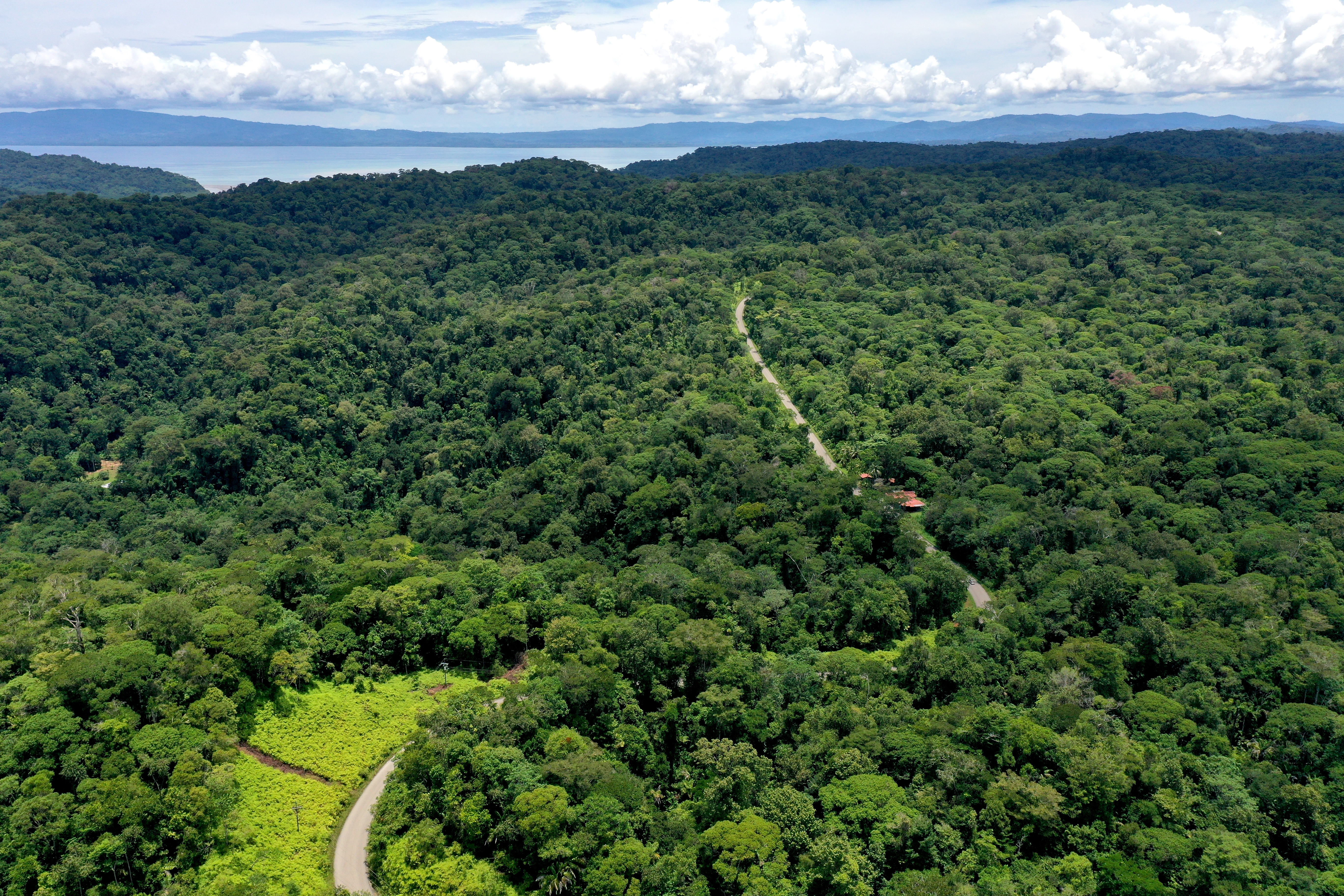 3 bed Land For Sale in Rincon, Puntarenas - thumb 9