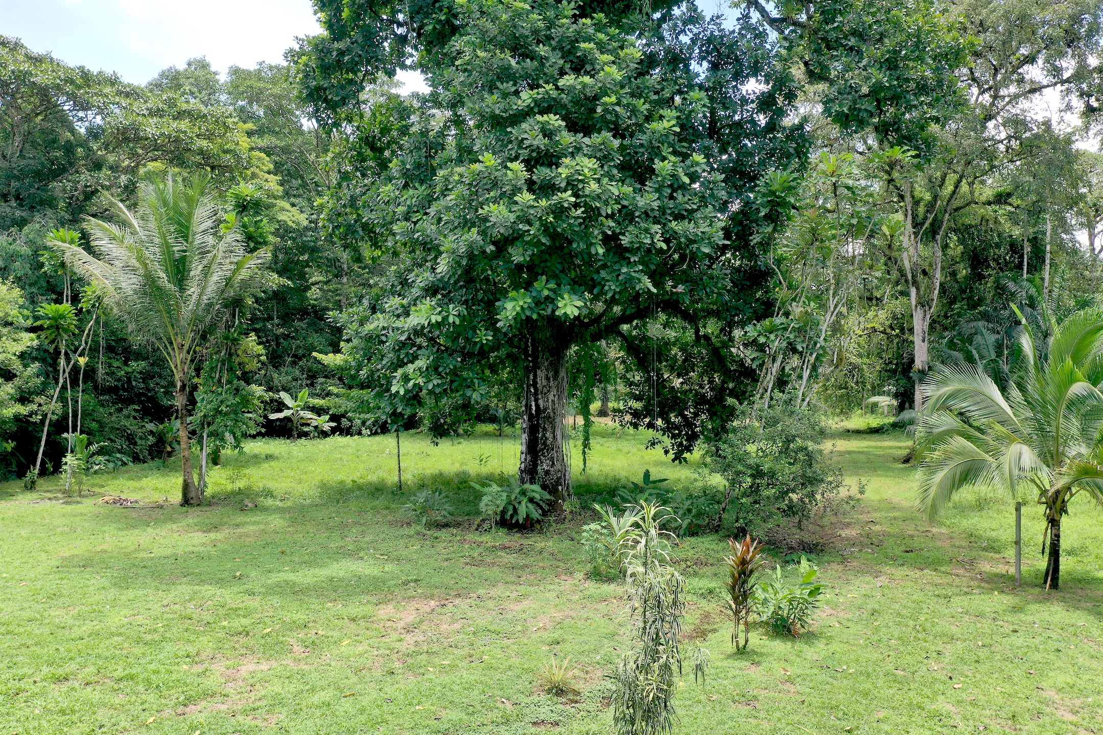 3 bed Land For Sale in Rincon, Puntarenas - thumb 6