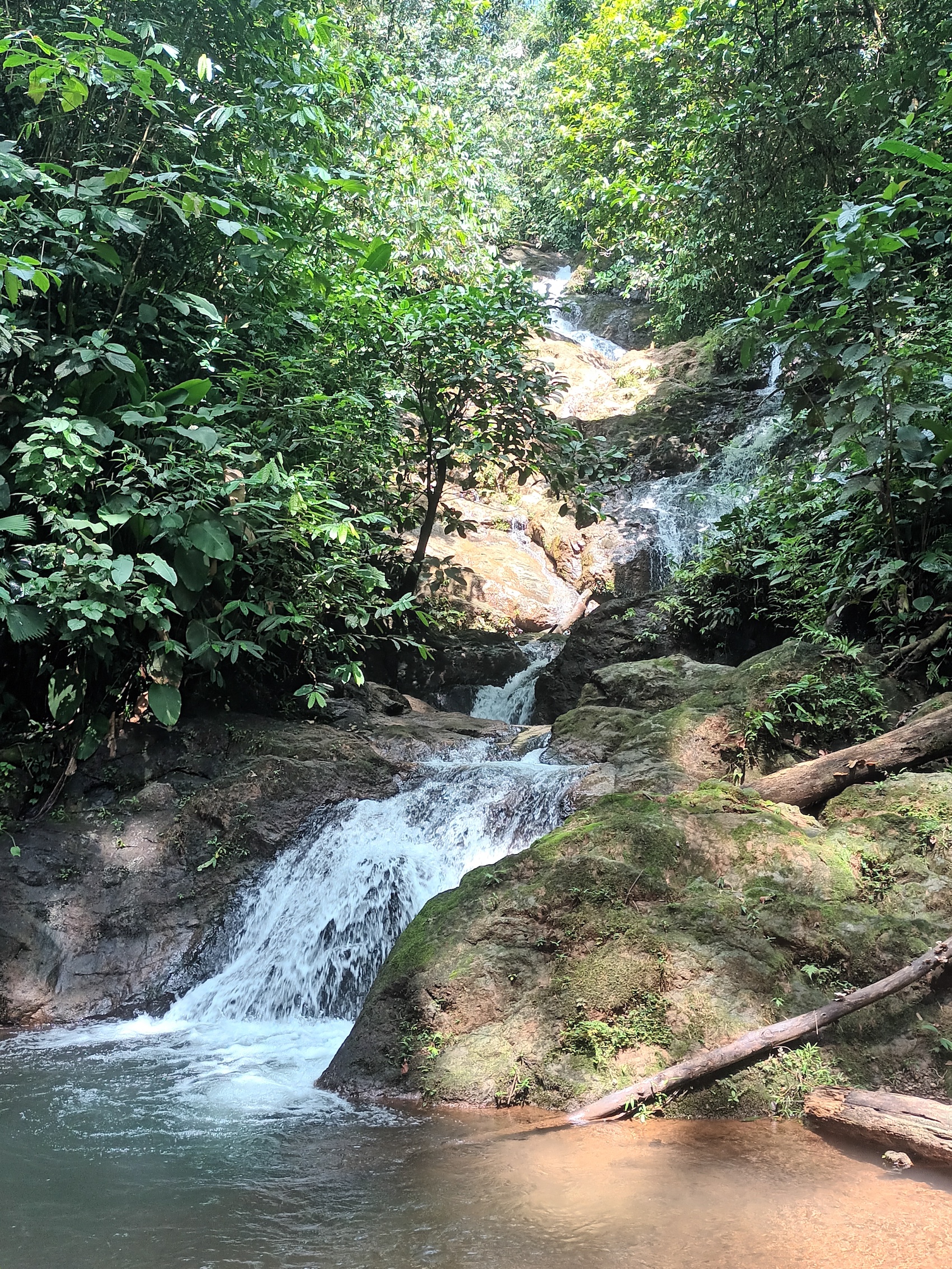 3 bed Land For Sale in Rincon, Puntarenas - thumb 12