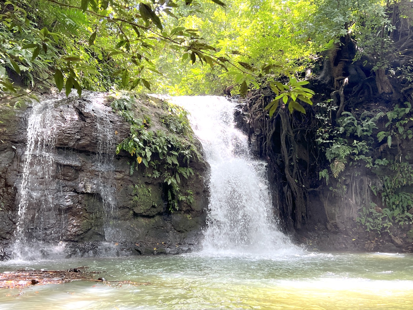 0 bed Land For Sale in San Mateo, San Jose - thumb 2