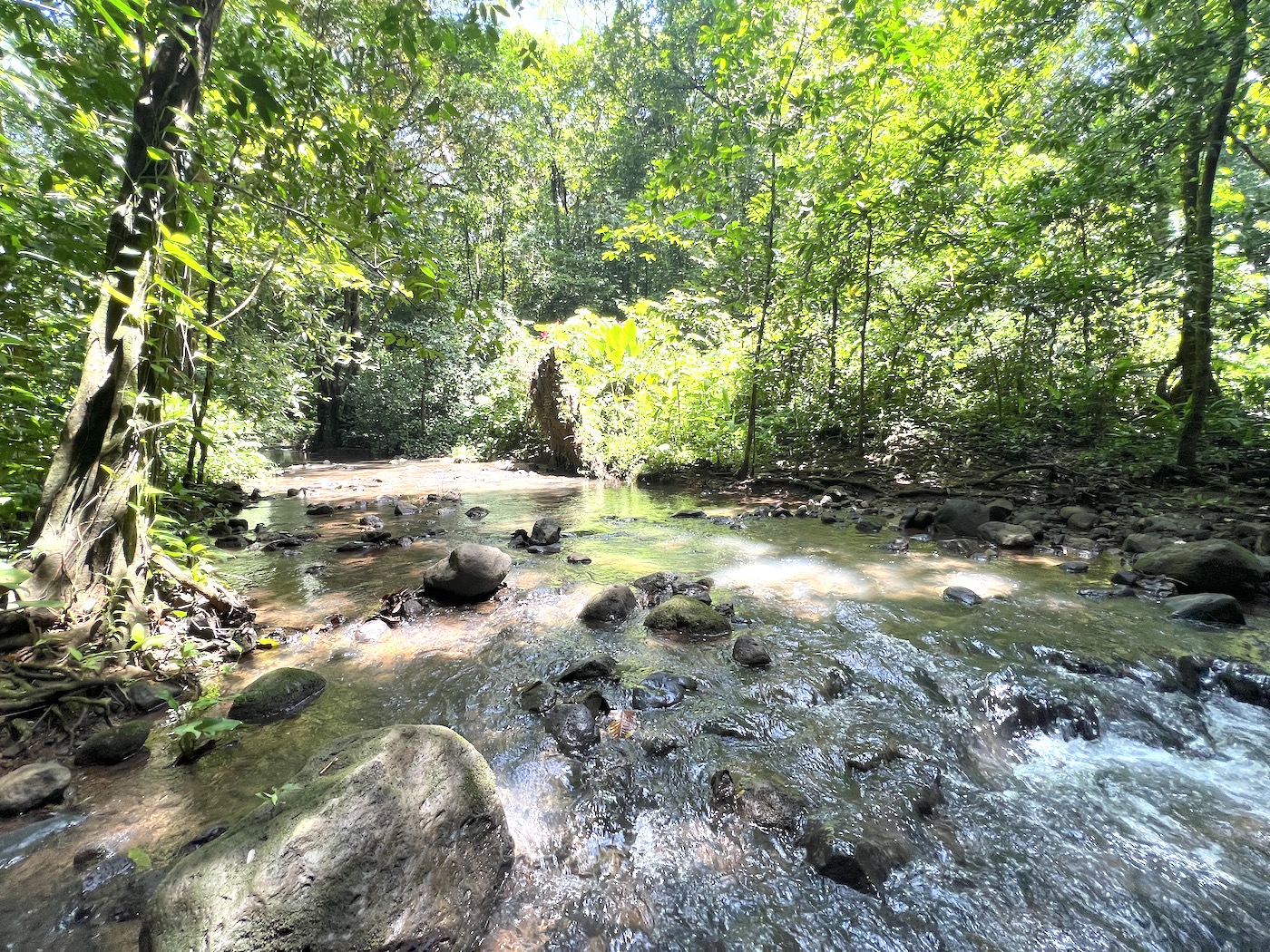 0 bed Land For Sale in San Mateo, San Jose - thumb 11