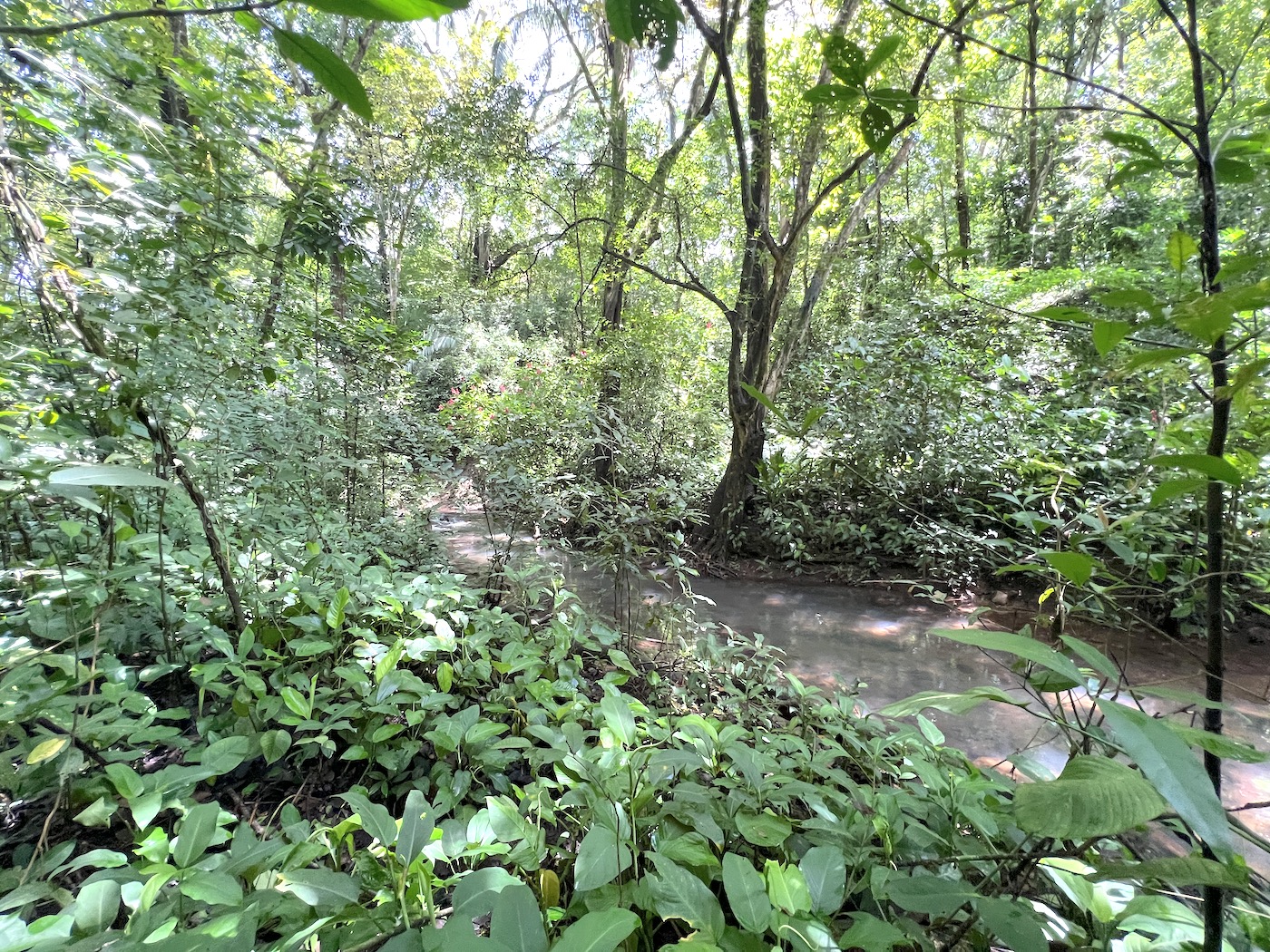 0 bed Land For Sale in San Mateo, San Jose - thumb 12