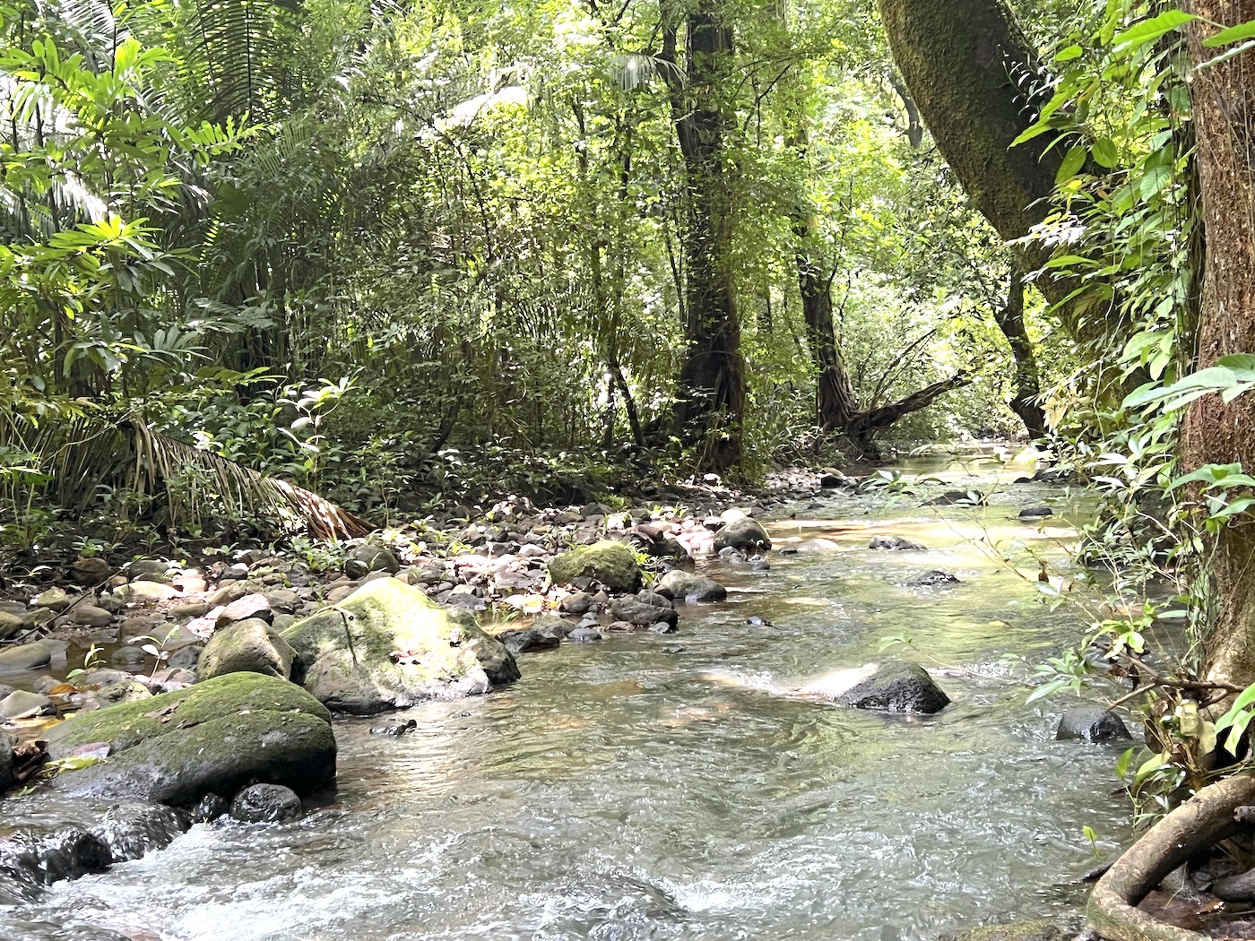 0 bed Land For Sale in San Mateo, San Jose - thumb 10