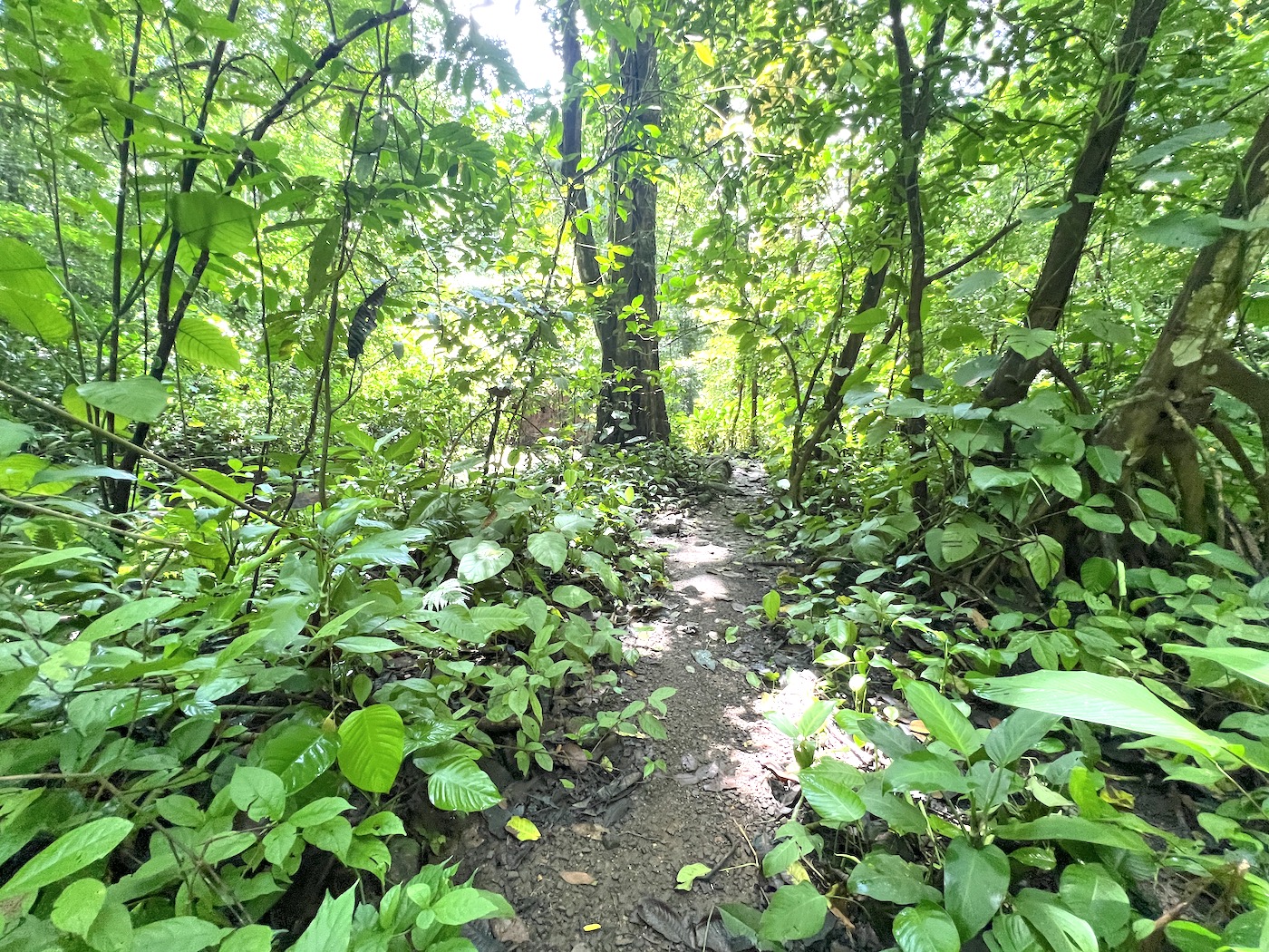 0 bed Land For Sale in San Mateo, San Jose - thumb 13