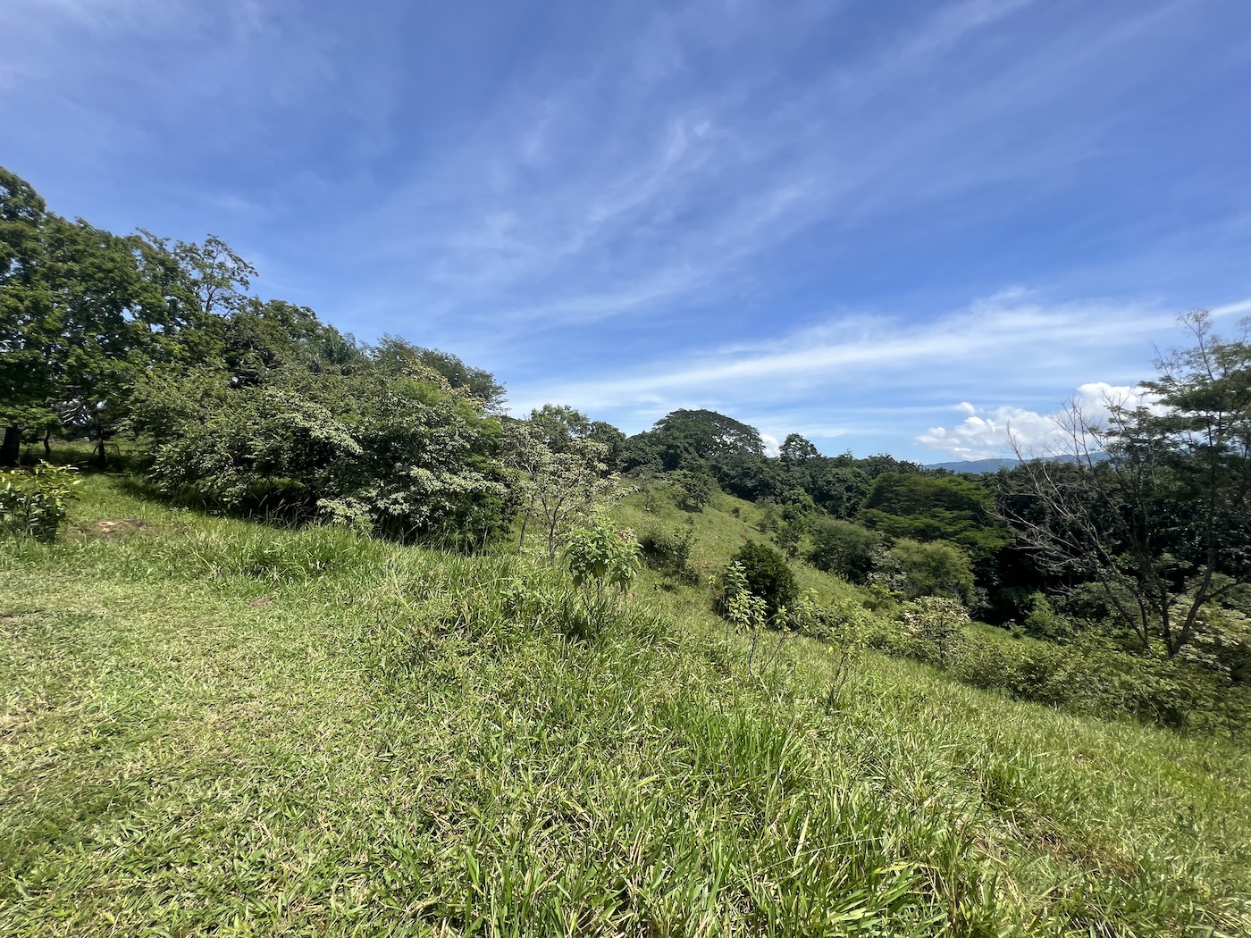 0 bed Land For Sale in San Mateo, San Jose - thumb 7