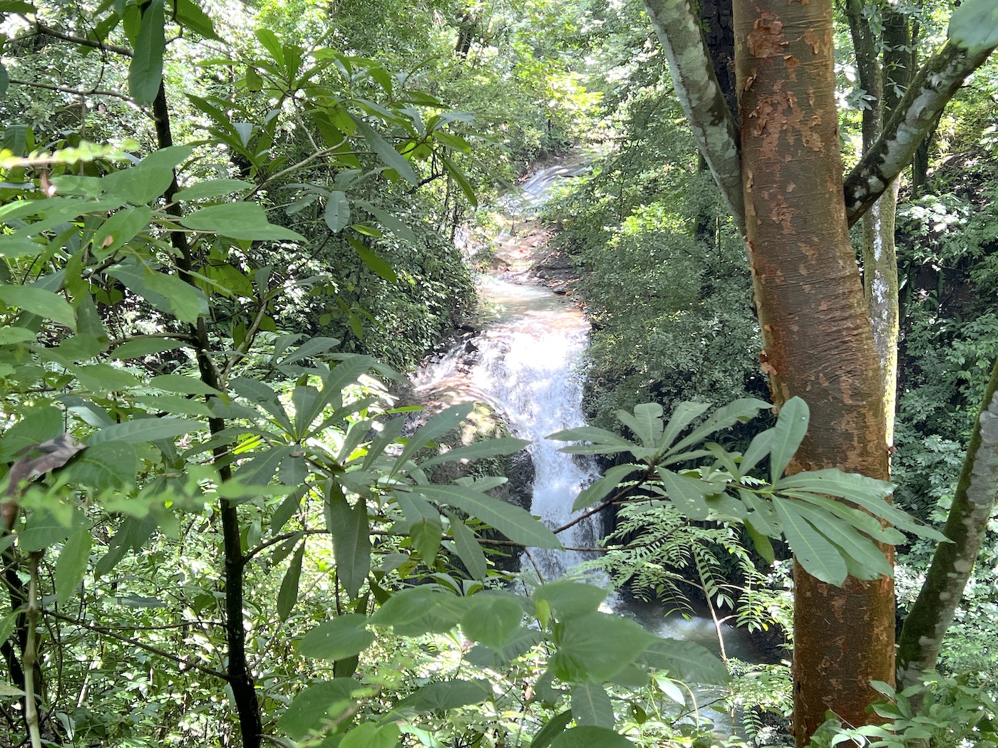 0 bed Land For Sale in San Mateo, San Jose - thumb 8