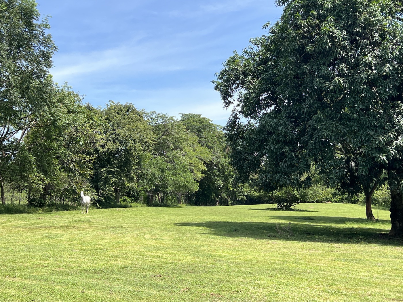 0 bed Land For Sale in San Mateo, San Jose - thumb 1