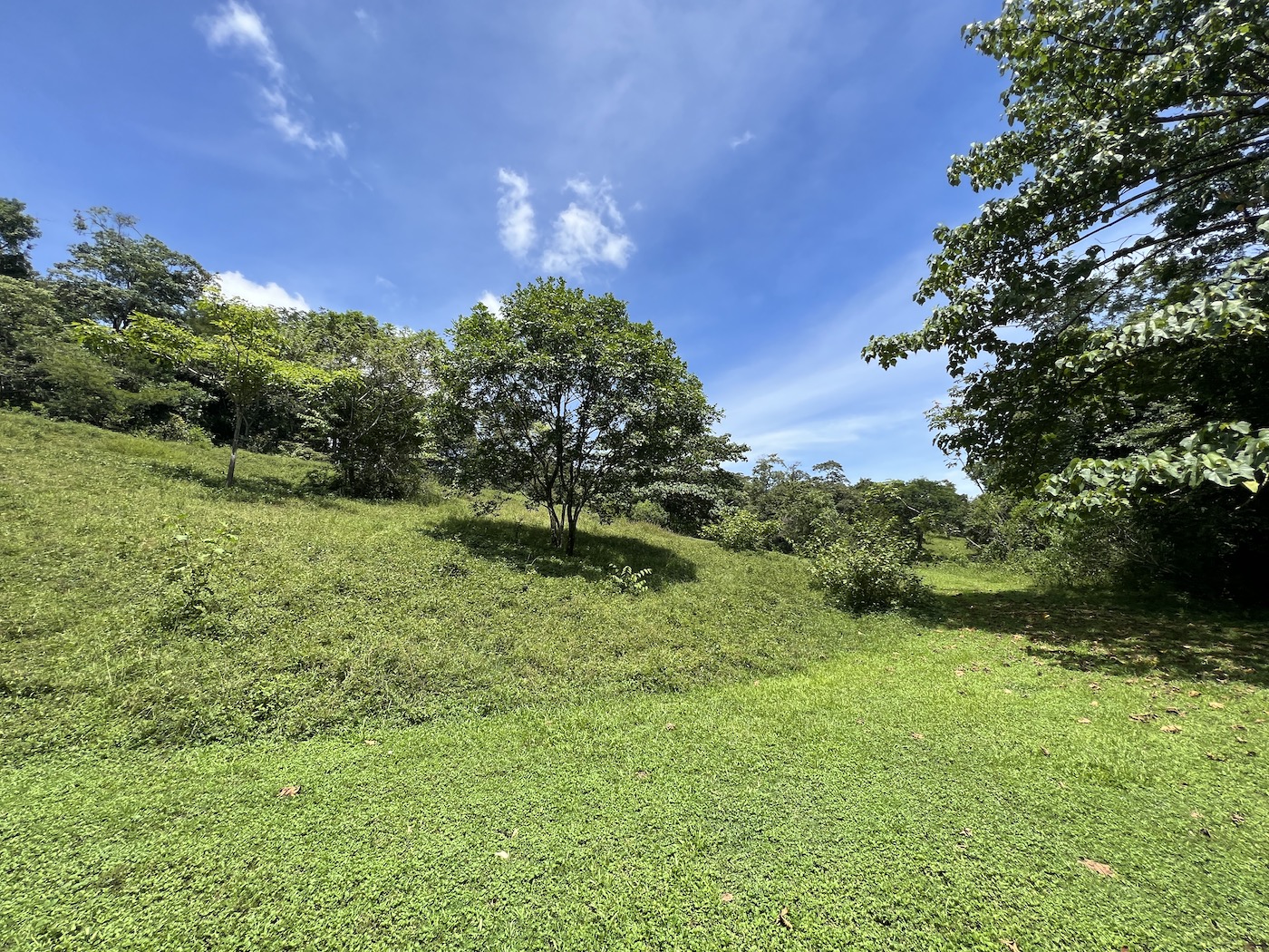 0 bed Land For Sale in San Mateo, San Jose - thumb 3