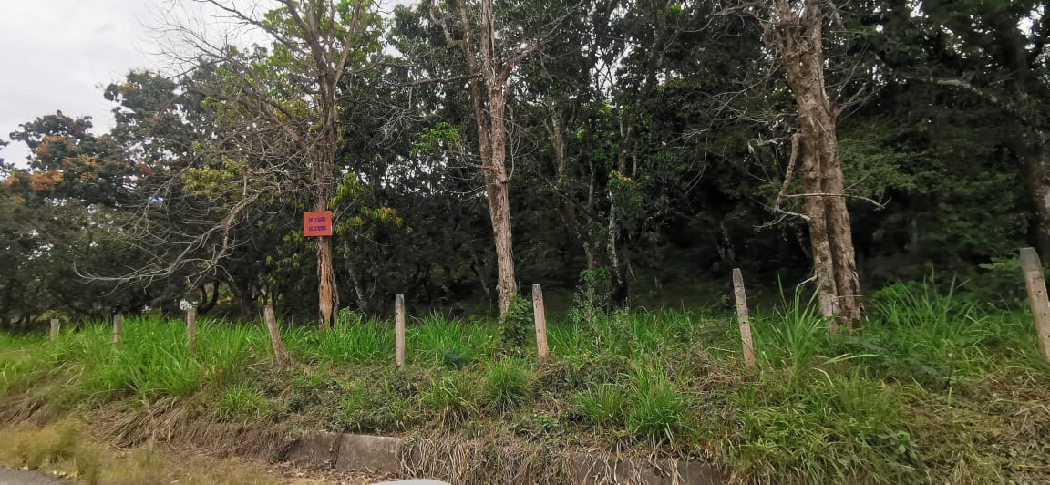 0 bed Land For Sale in La Garita, Alajuela - thumb 1