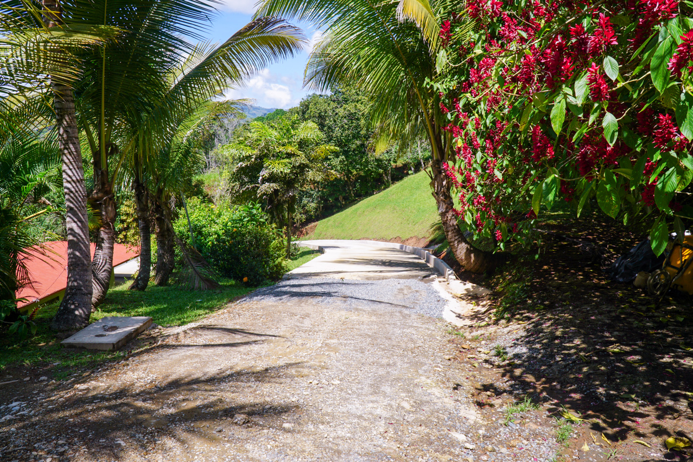 3 bed Single Family Homes For Sale in Perez Zeledon, San Jose - thumb 6