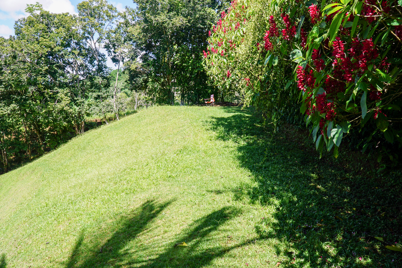 3 bed Single Family Homes For Sale in Perez Zeledon, San Jose - thumb 22