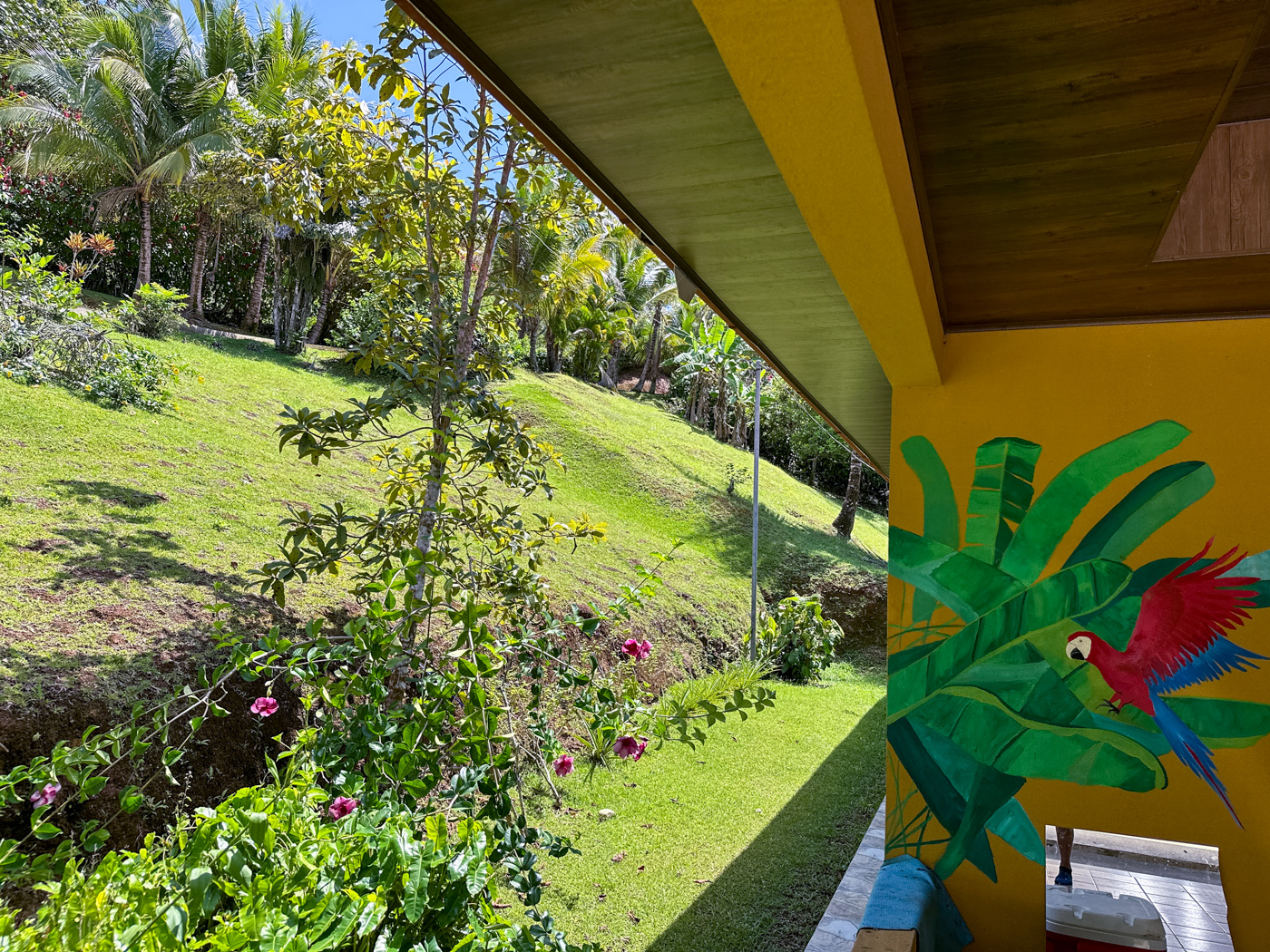 3 bed Single Family Homes For Sale in Perez Zeledon, San Jose - thumb 7