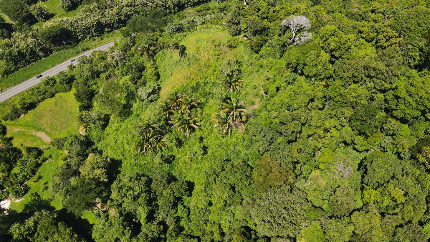 0 bed Land For Sale in Dominical, Puntarenas - thumb 9